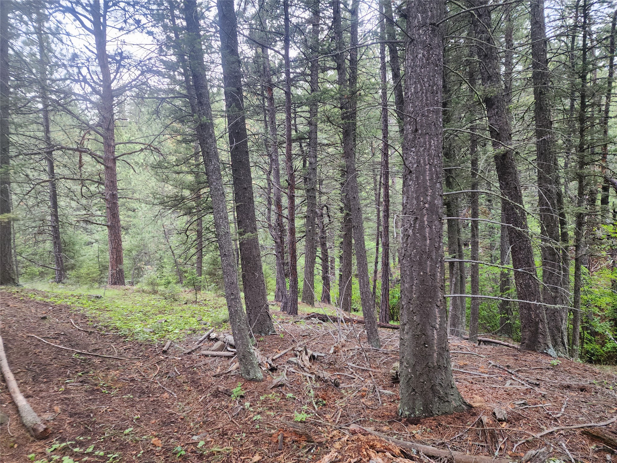 Nhn Upper Sawmill Creek Lane Property Photo 25