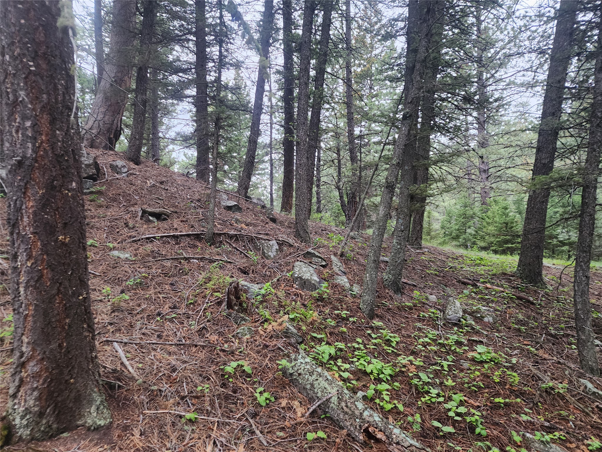 Nhn Upper Sawmill Creek Lane Property Photo 26