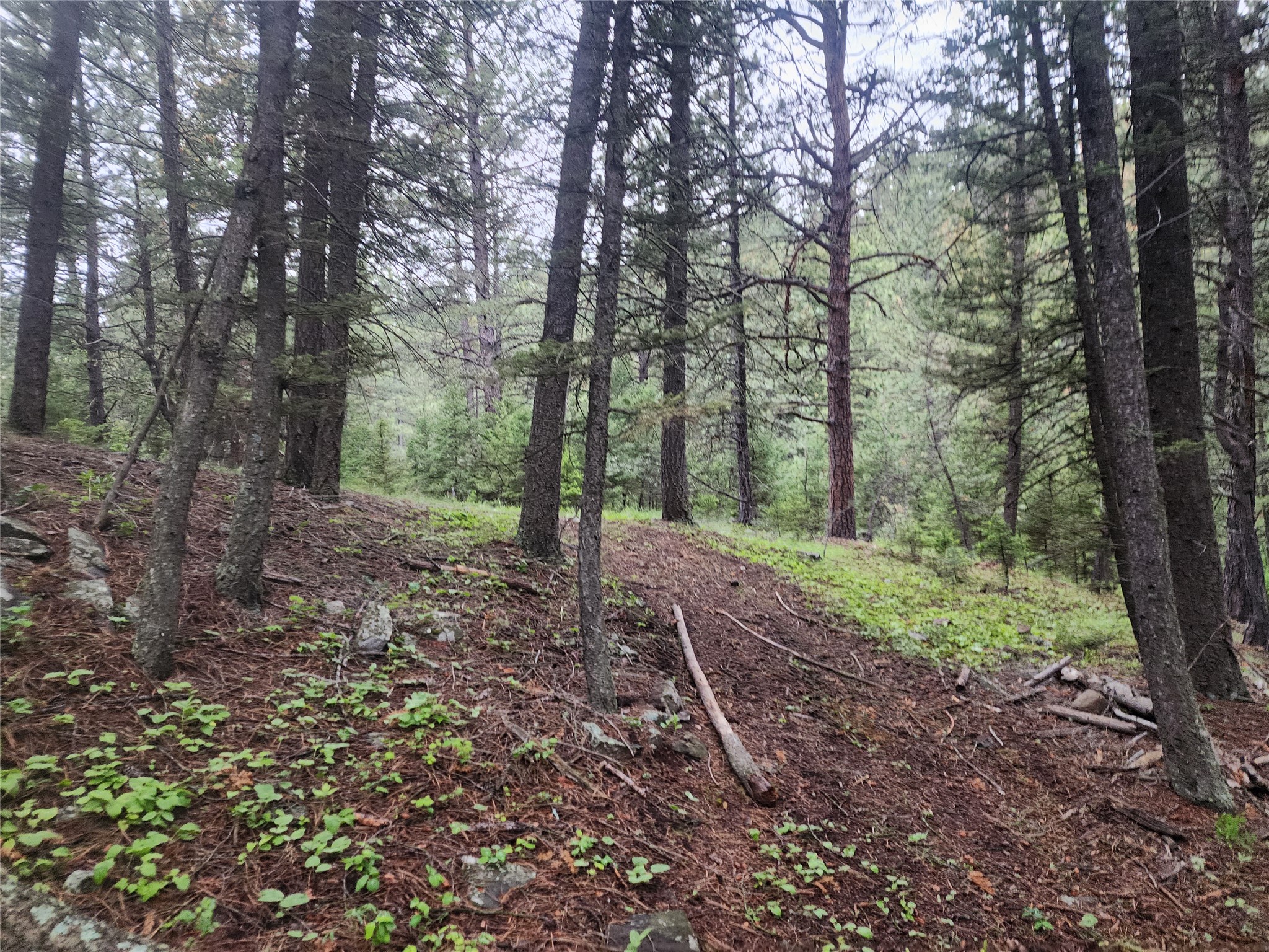 Nhn Upper Sawmill Creek Lane Property Photo 27