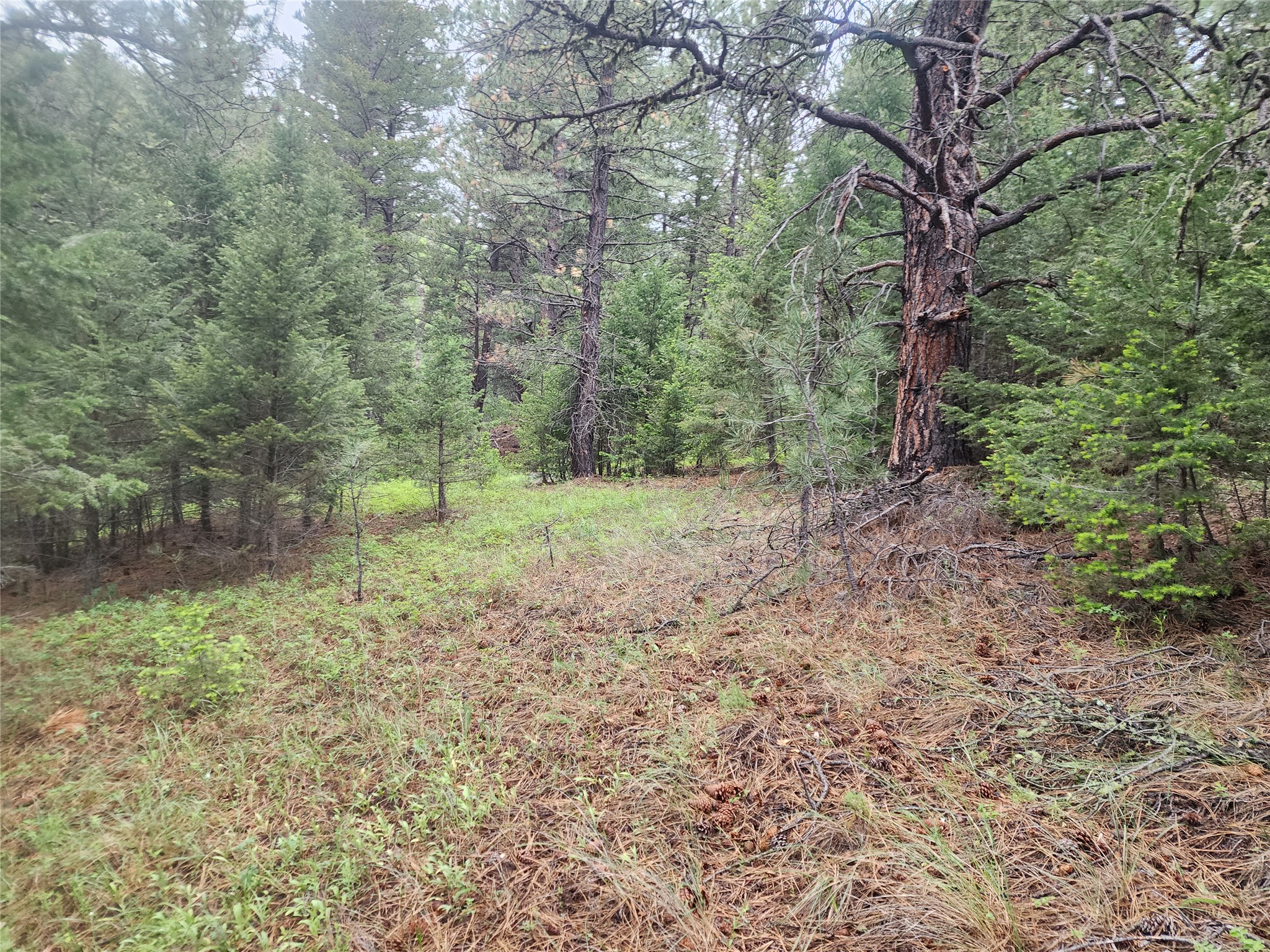 Nhn Upper Sawmill Creek Lane Property Photo 29