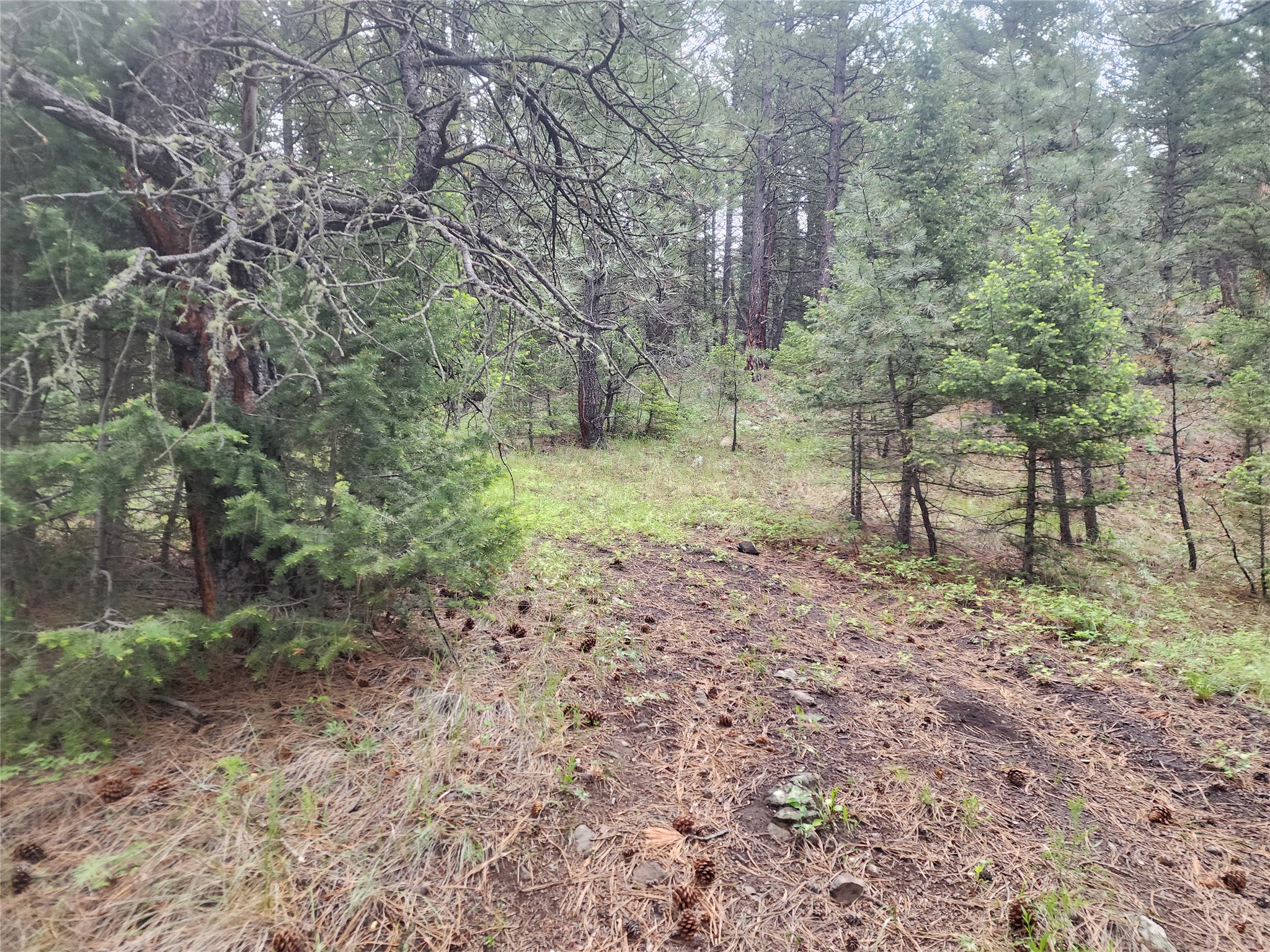Nhn Upper Sawmill Creek Lane Property Photo 30