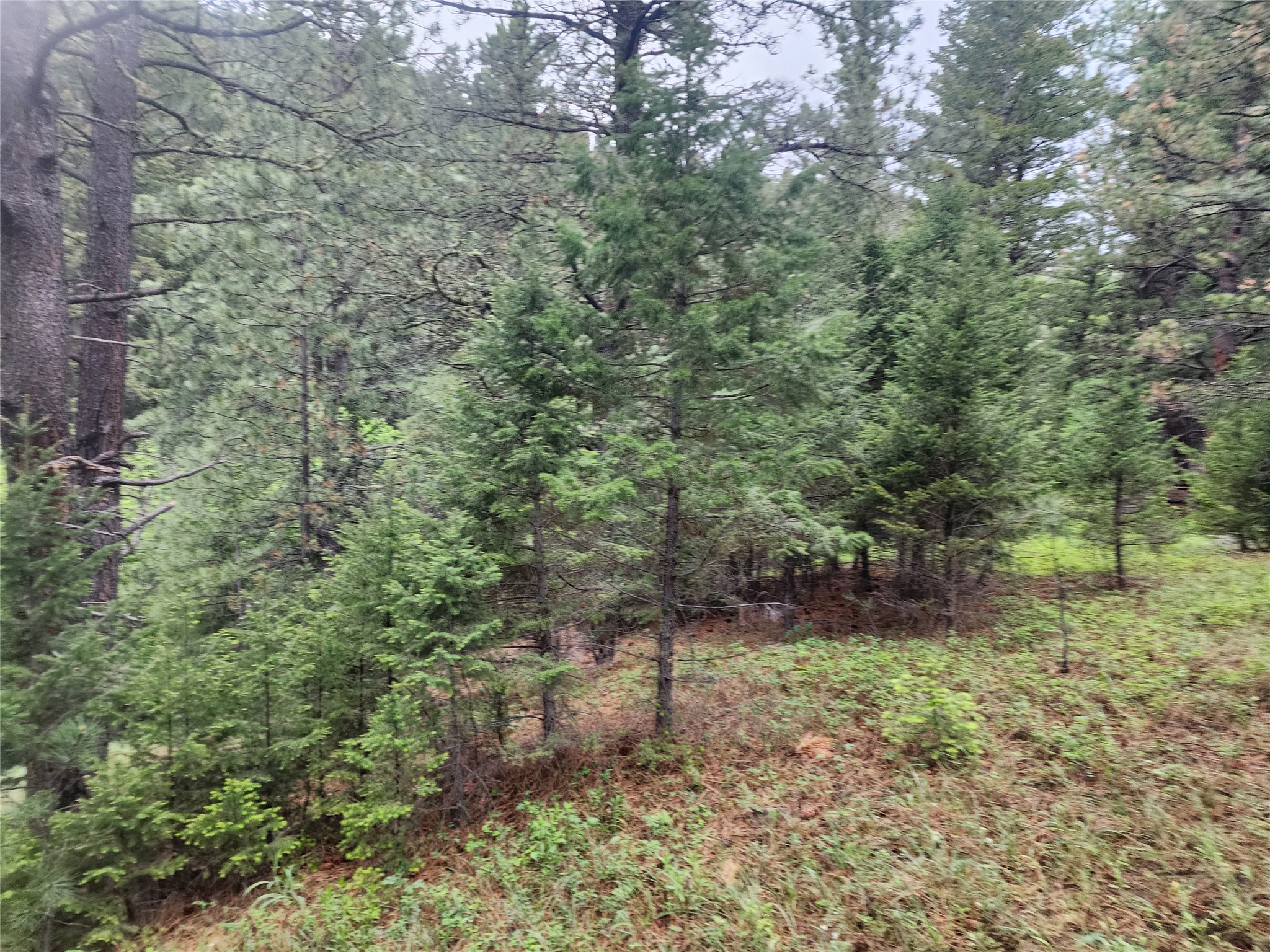 Nhn Upper Sawmill Creek Lane Property Photo 31