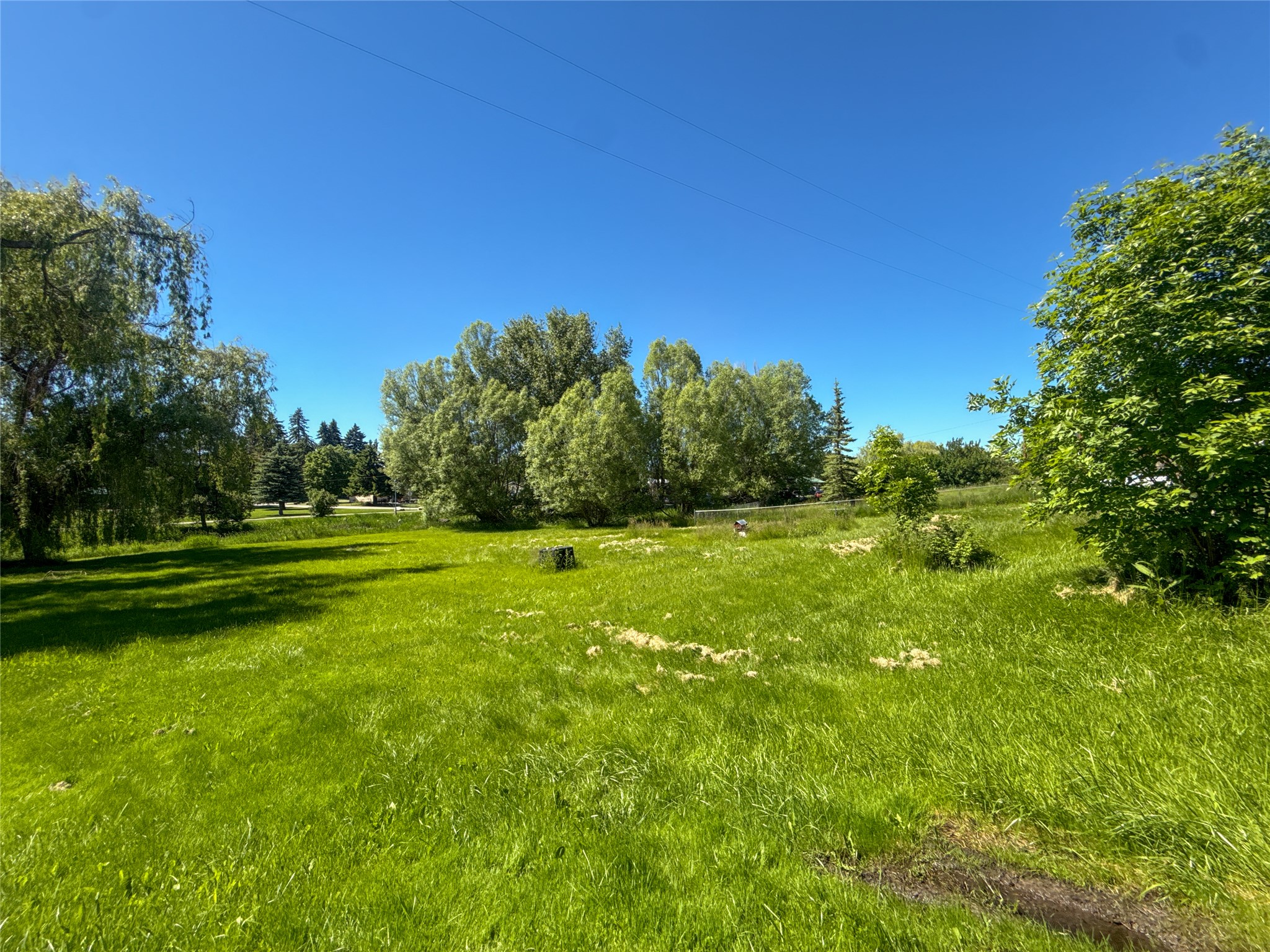 619 2nd Place Sw Property Photo 4