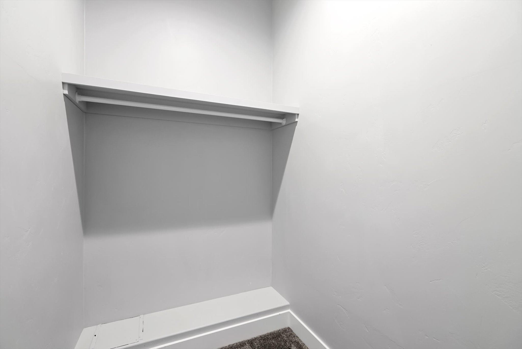 53 Mannington Street Property Photo 24