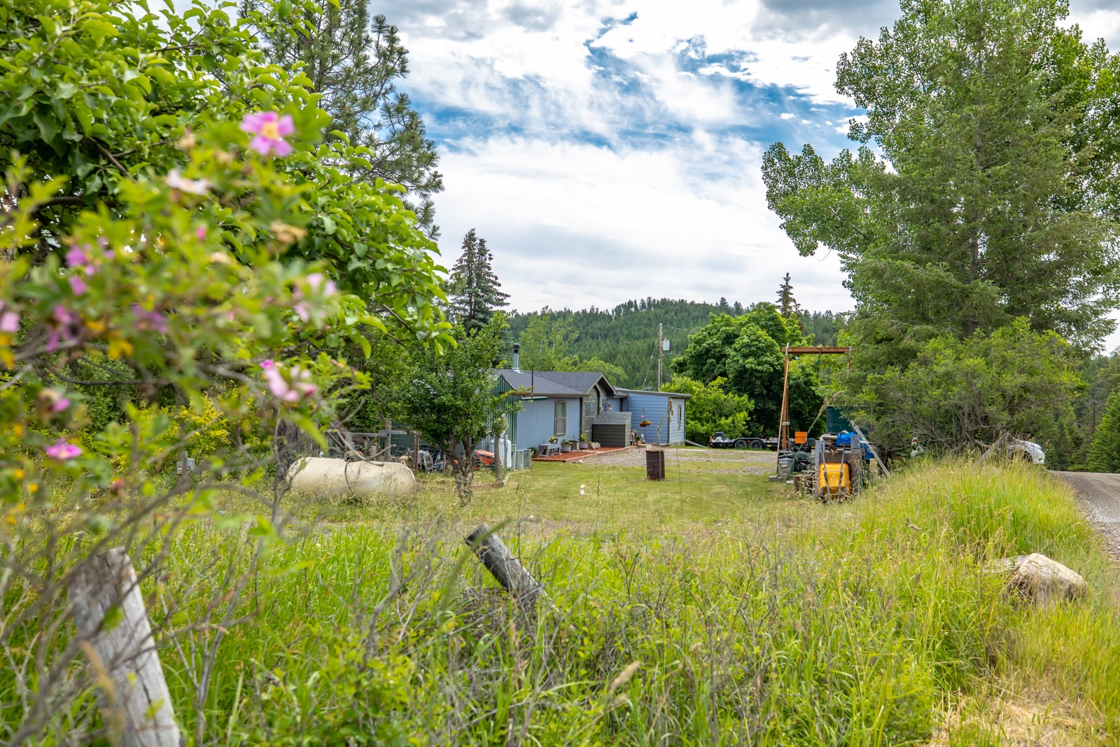 1129 Bierney Creek Road Property Photo 7