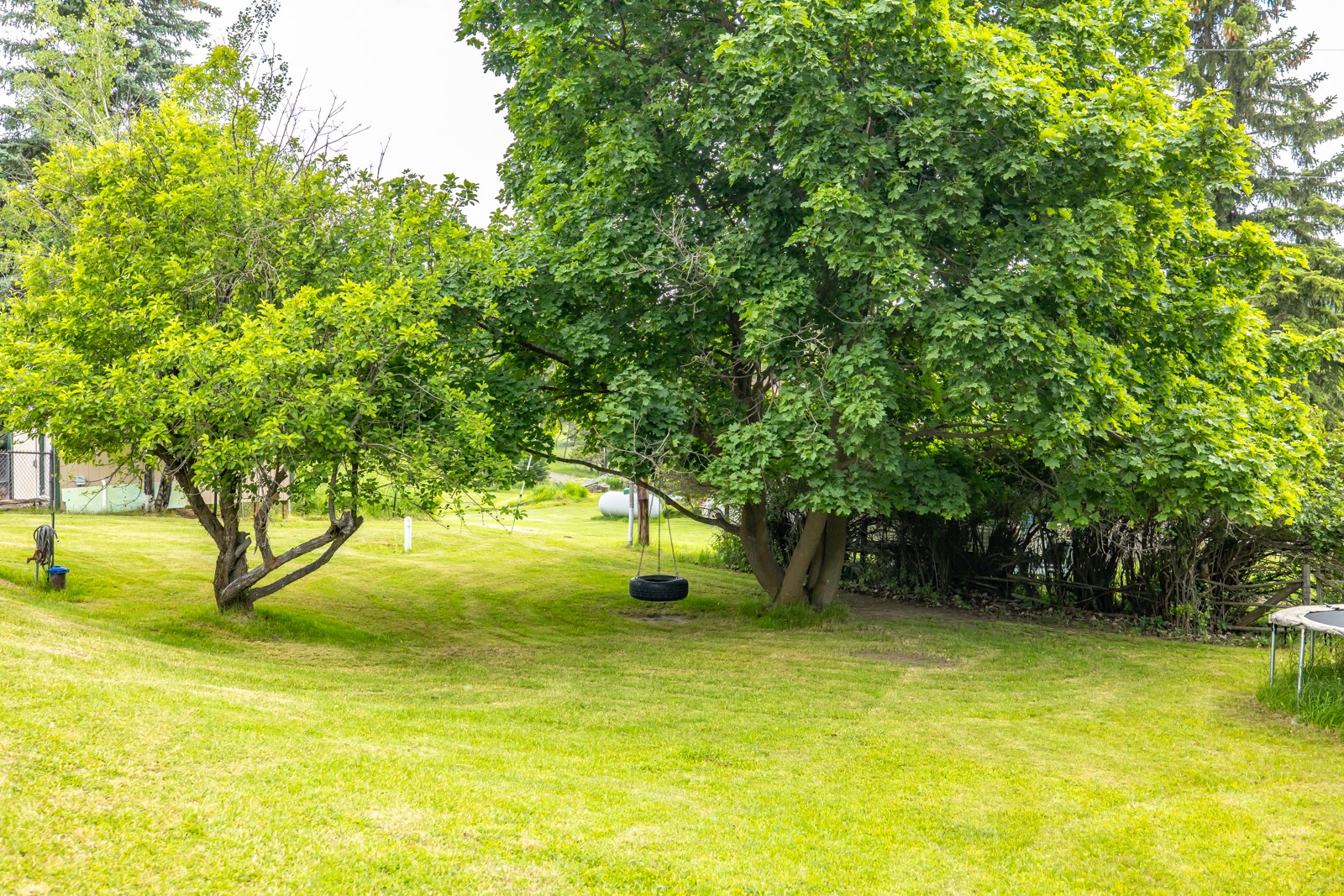1129 Bierney Creek Road Property Photo 10