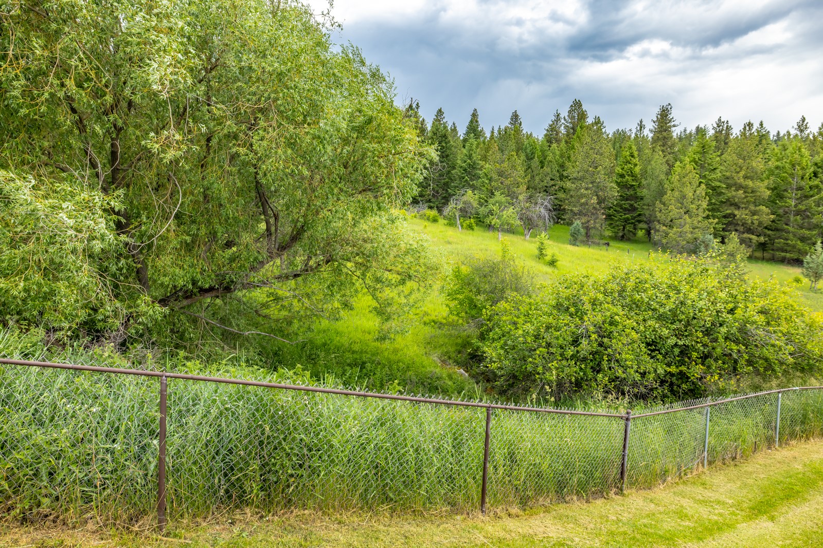 1129 Bierney Creek Road Property Photo 11
