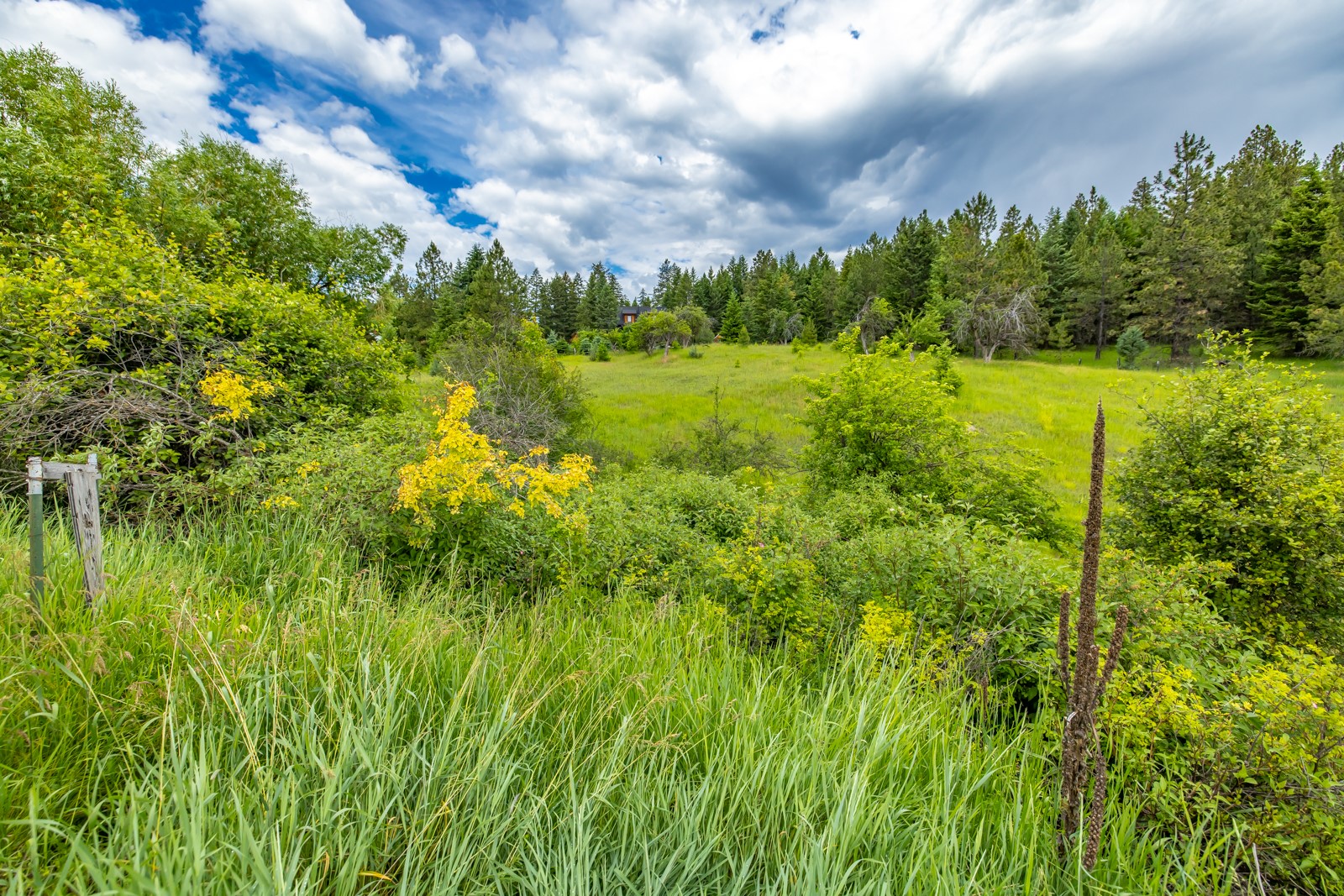 1129 Bierney Creek Road Property Photo 14