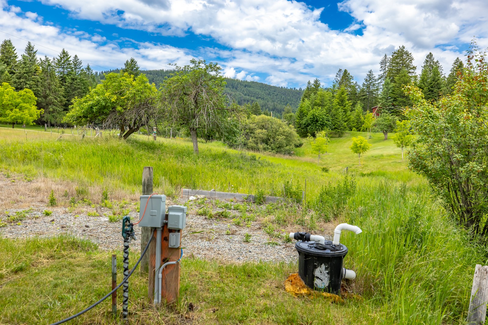 1129 Bierney Creek Road Property Photo 18