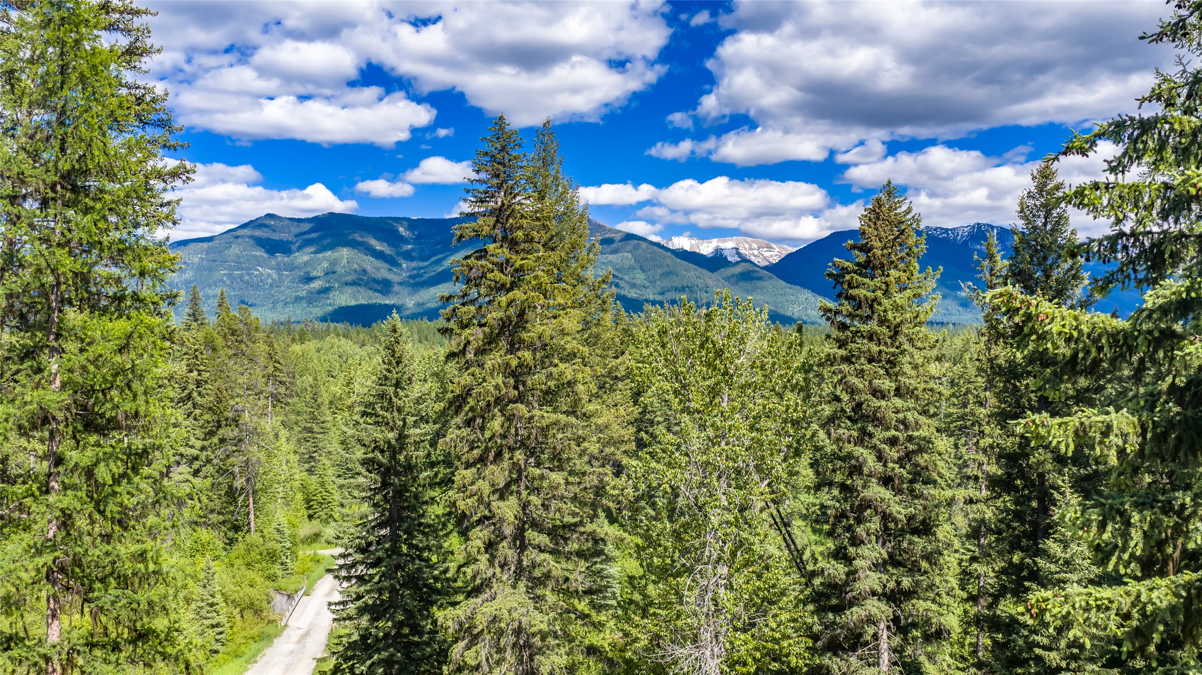 22704 Fatty Creek Road Property Photo 46