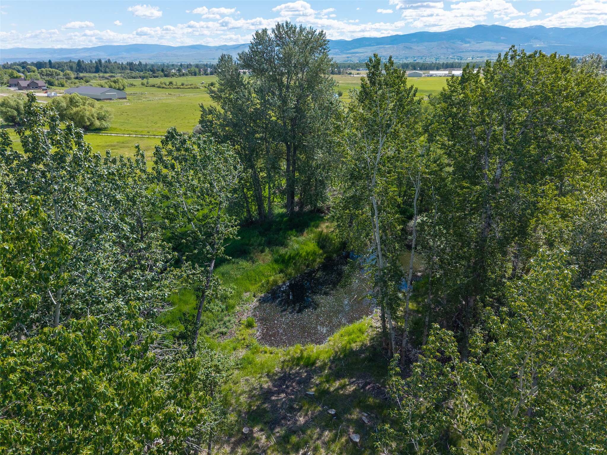 385 Sheafman Creek Road Property Photo 15