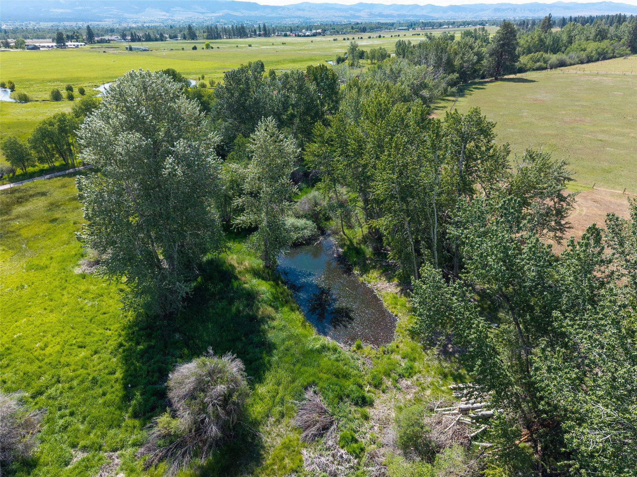 385 Sheafman Creek Road Property Photo 16