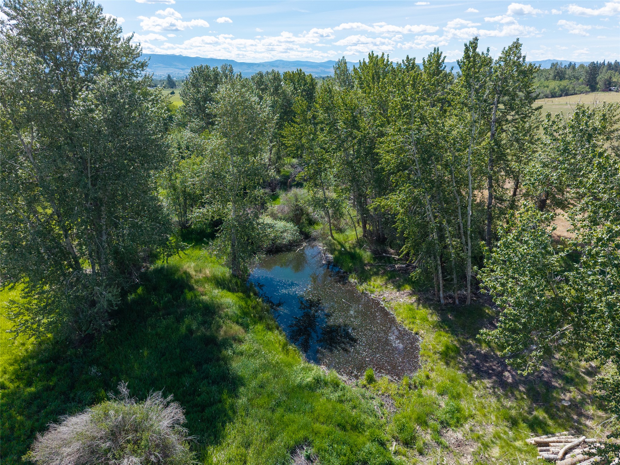 385 Sheafman Creek Road Property Photo 17