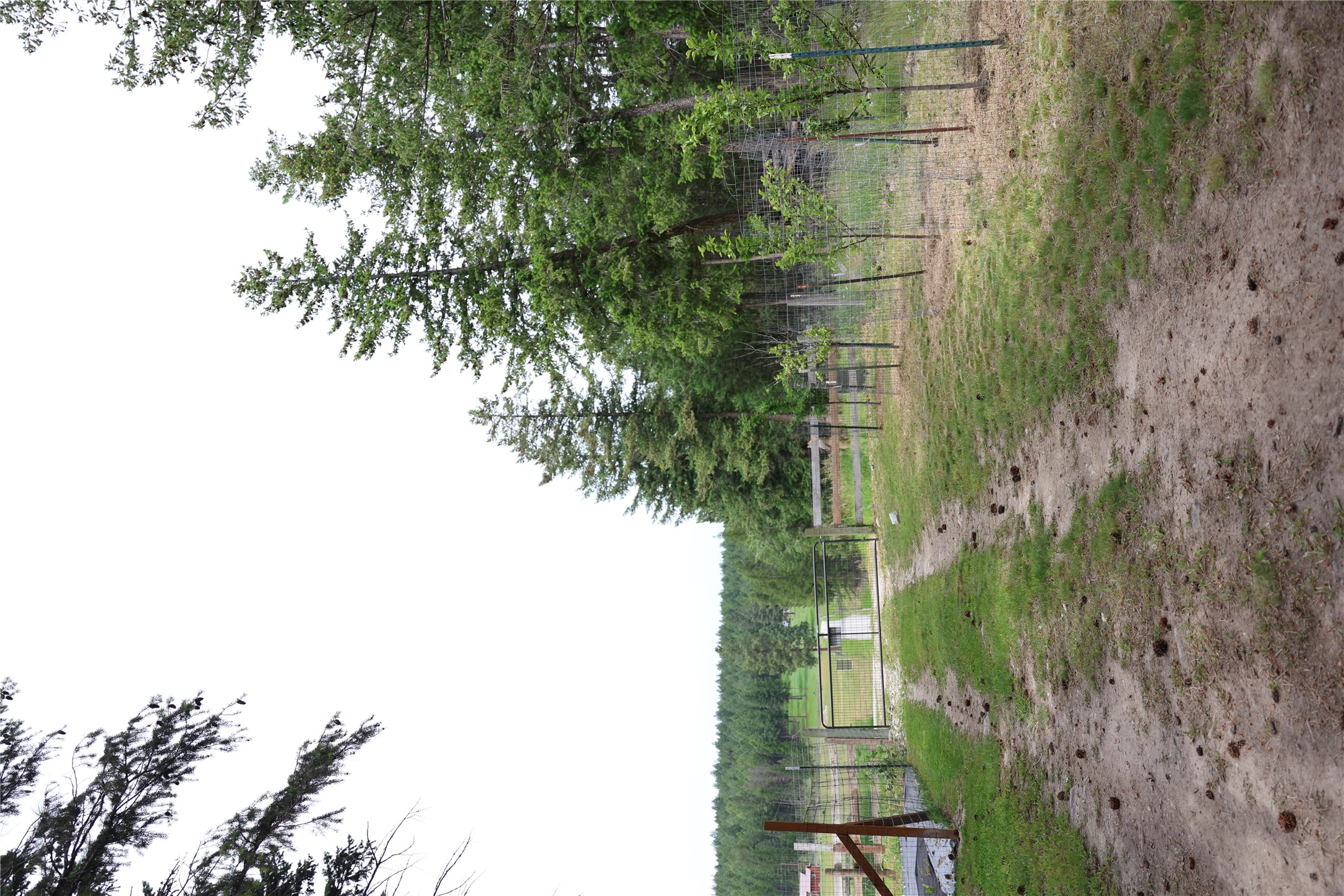 765 Border Lane Property Photo 14