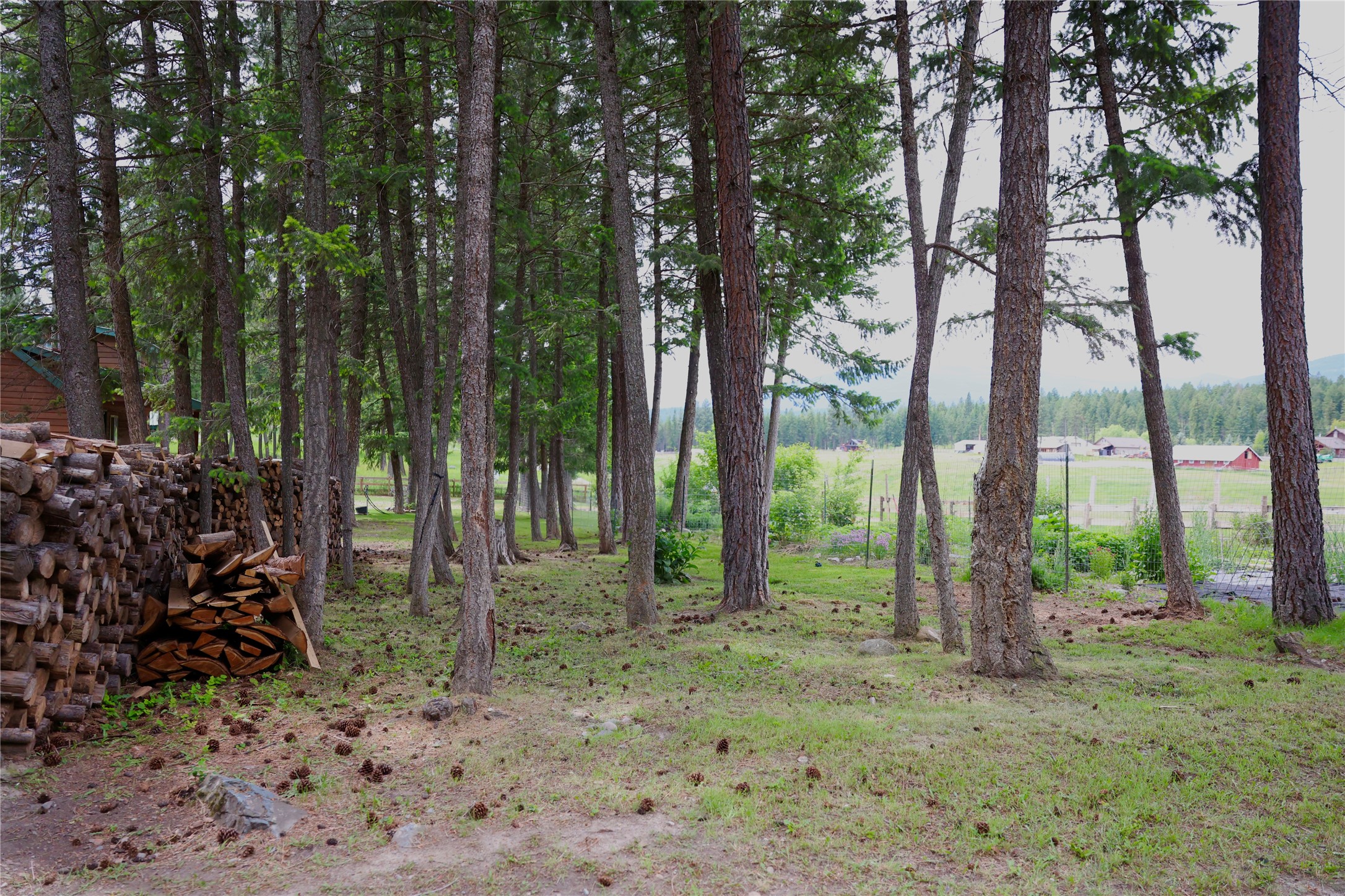 765 Border Lane Property Photo 15
