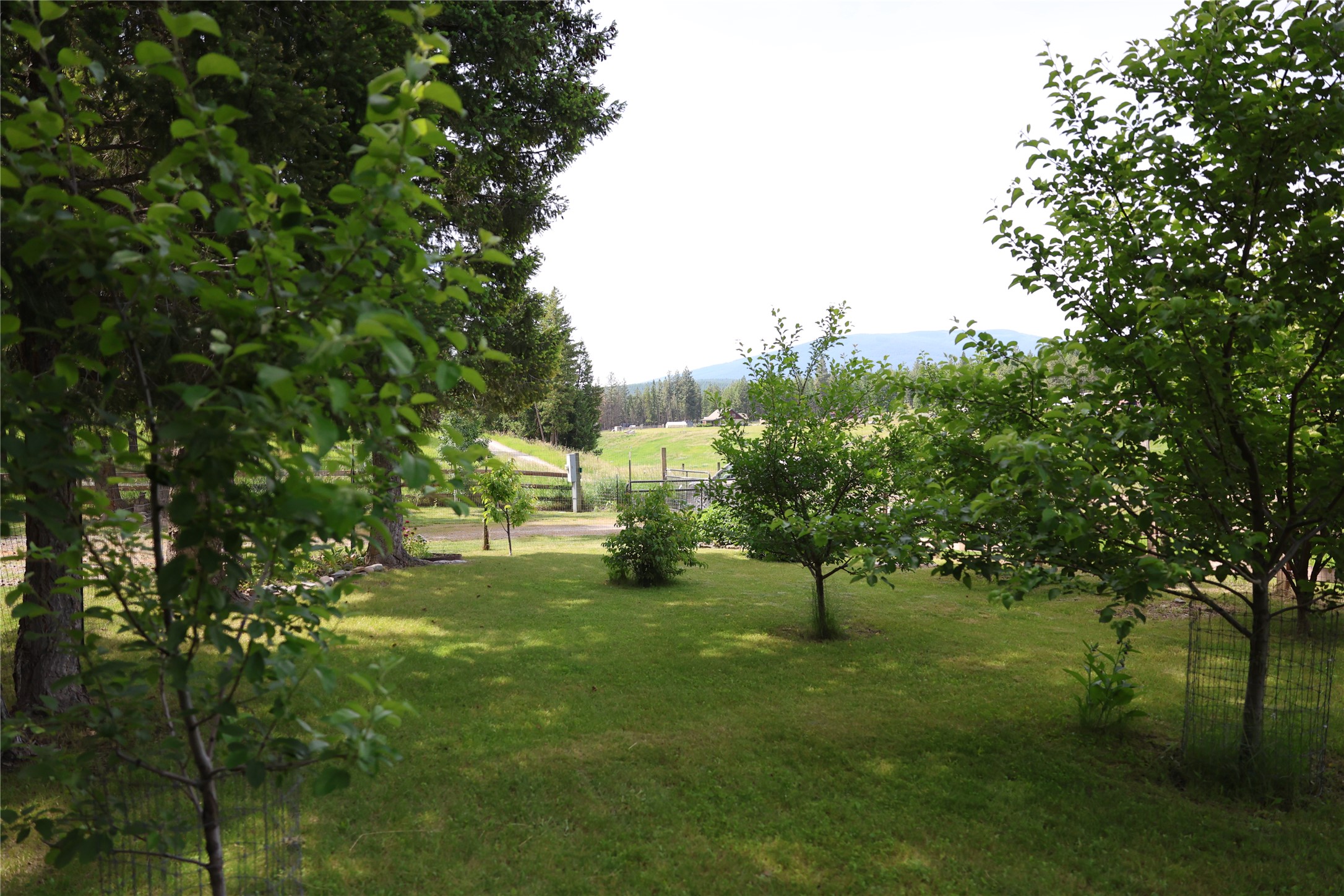 765 Border Lane Property Photo 41