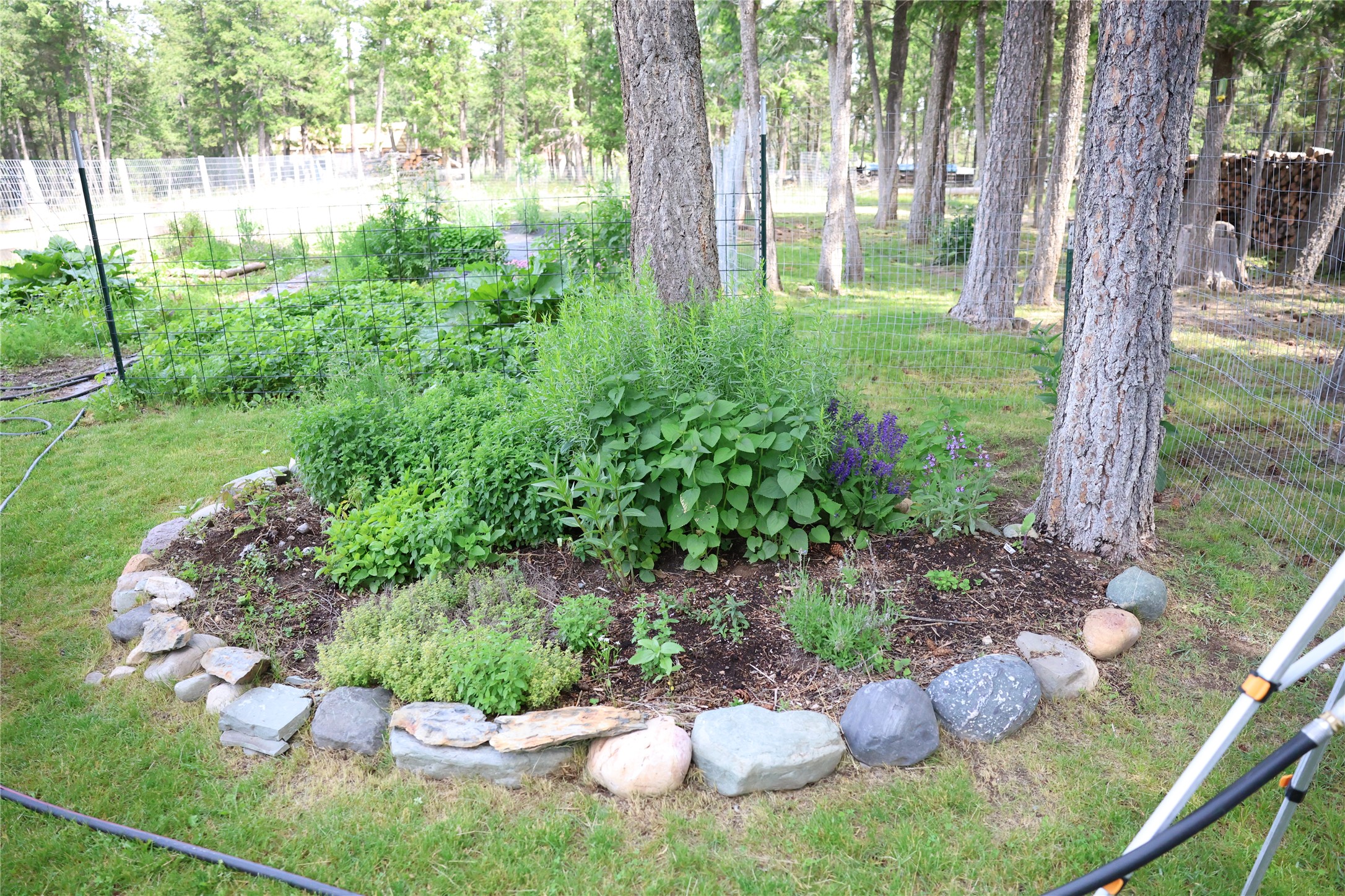 765 Border Lane Property Photo 42