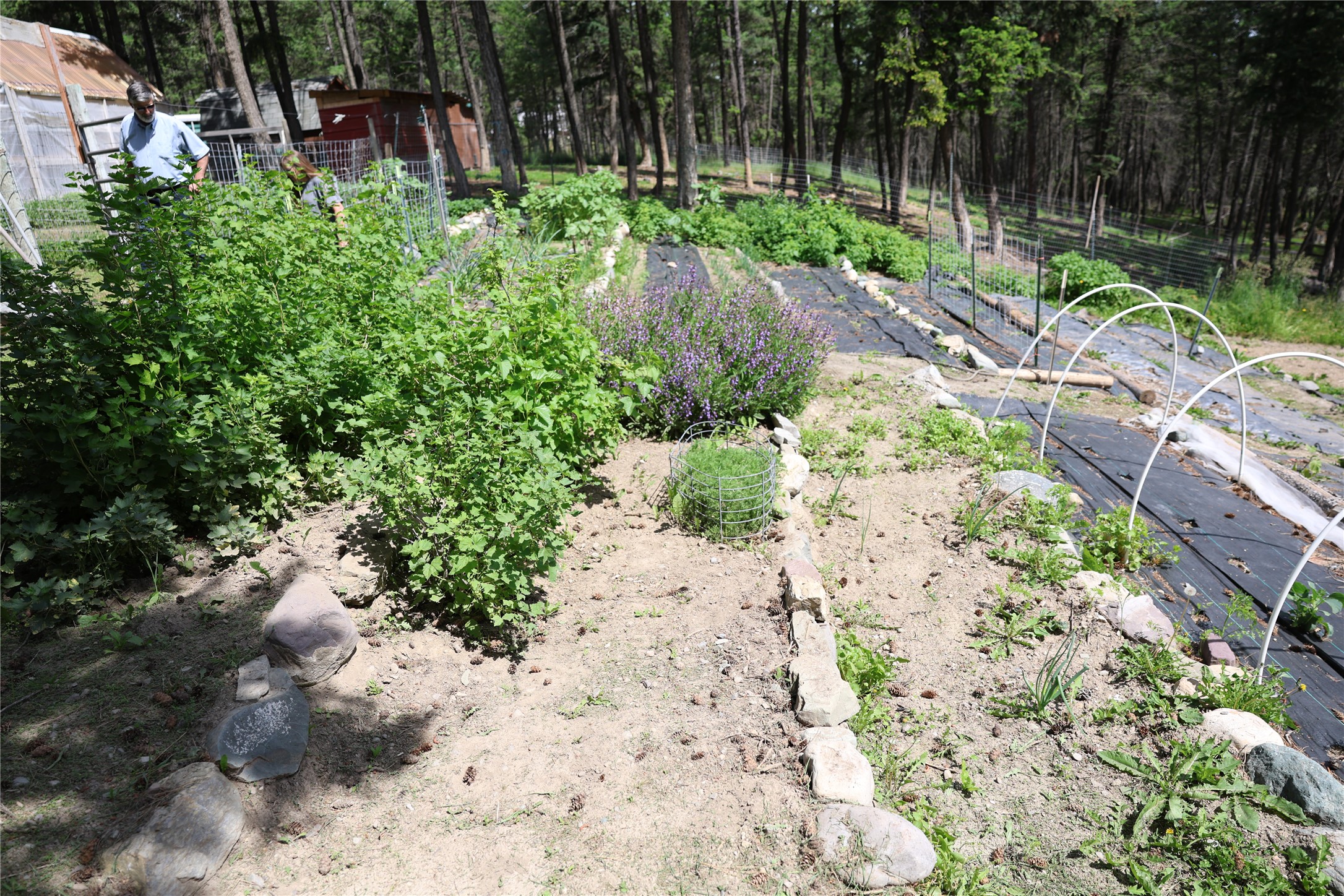 765 Border Lane Property Photo 64