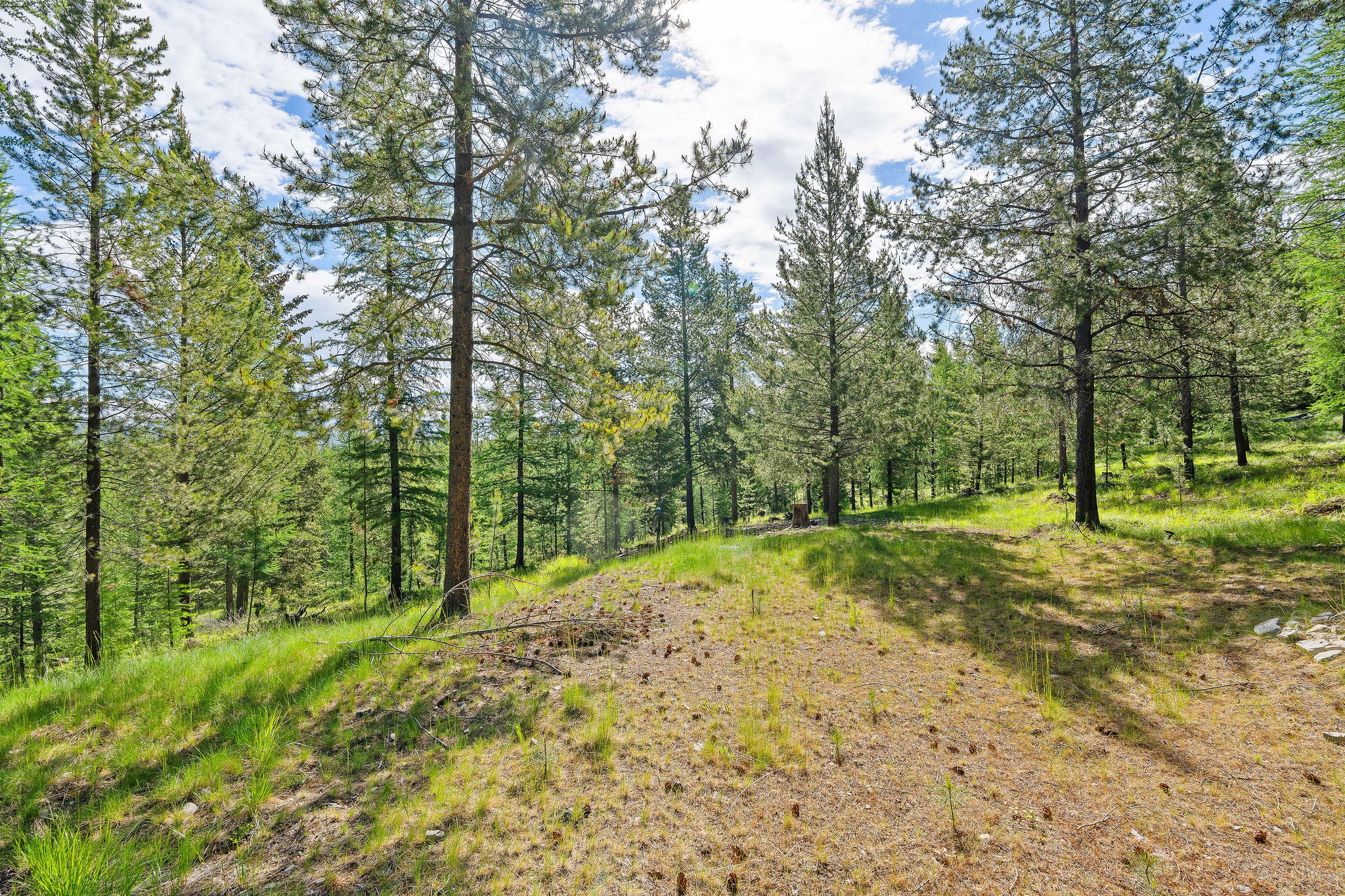 1145 S Mcgregor Lake Road Property Photo 78
