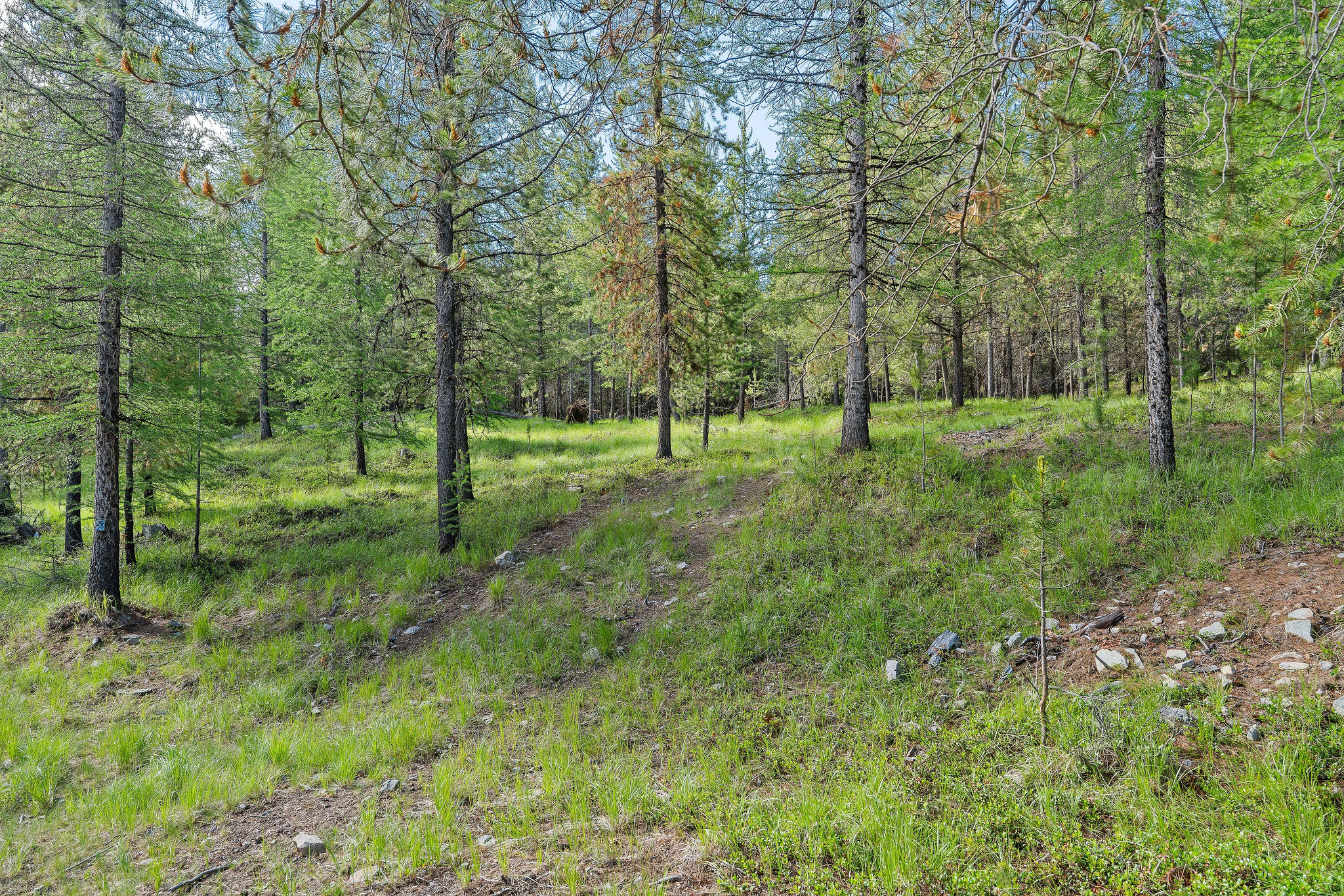 1145 S Mcgregor Lake Road Property Photo 79