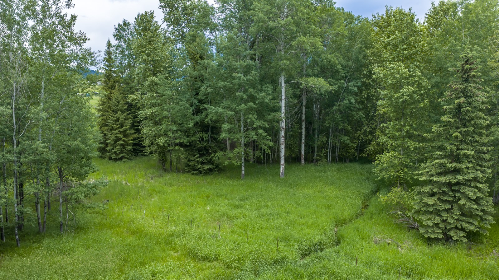 175 Danielson Road Property Photo 49
