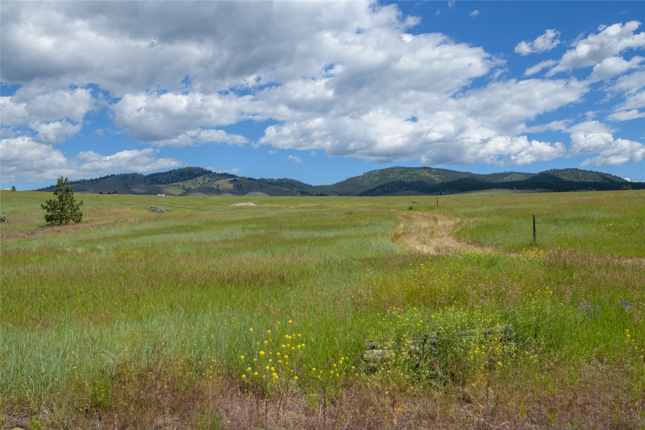 Lot 5b High Post Court Property Photo 13