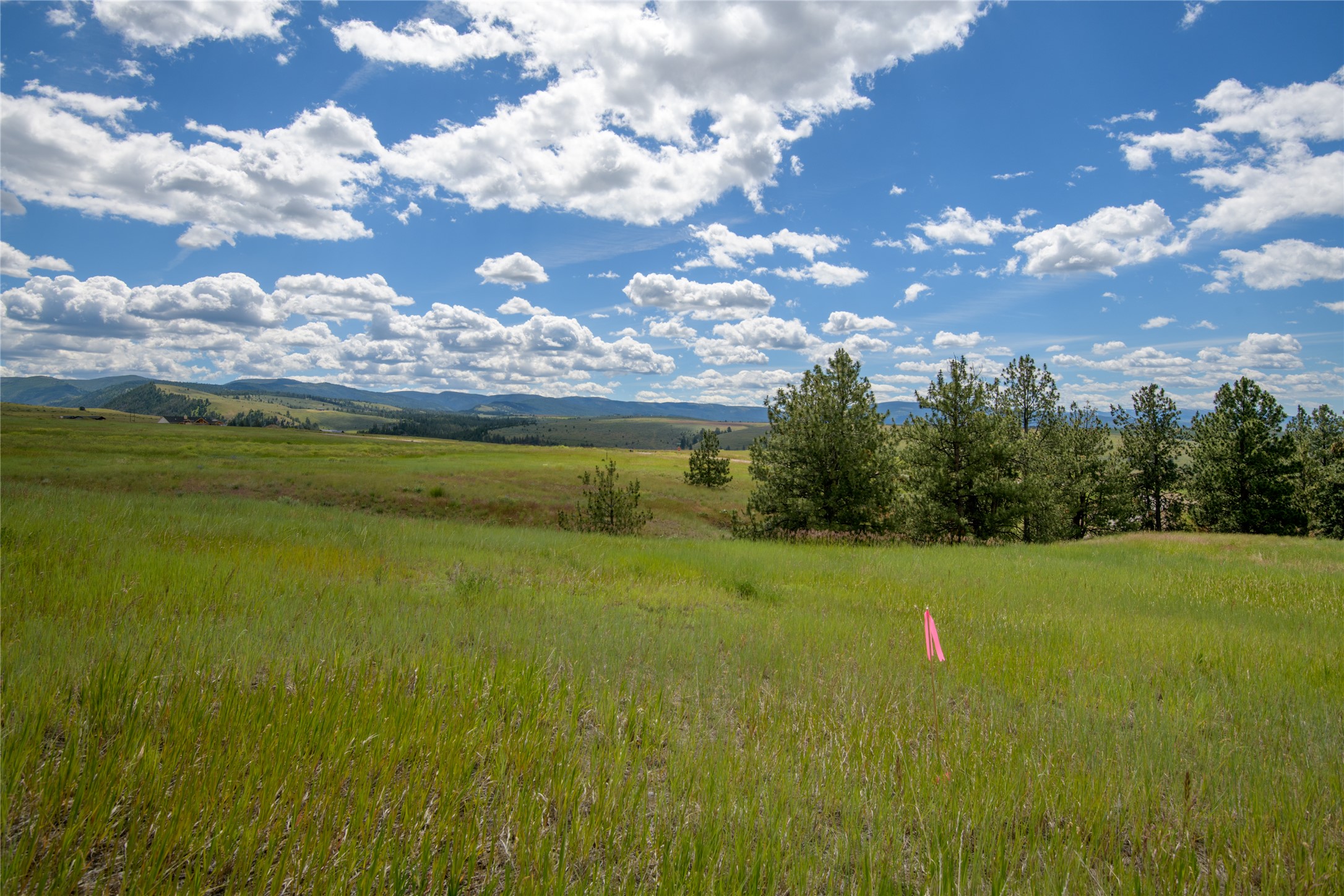 Lot 5b High Post Court Property Photo 15