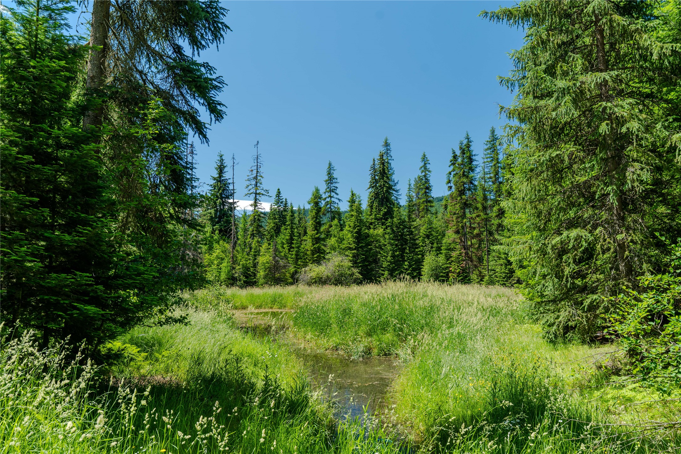 32 Whitepine Creek Road Property Photo 12