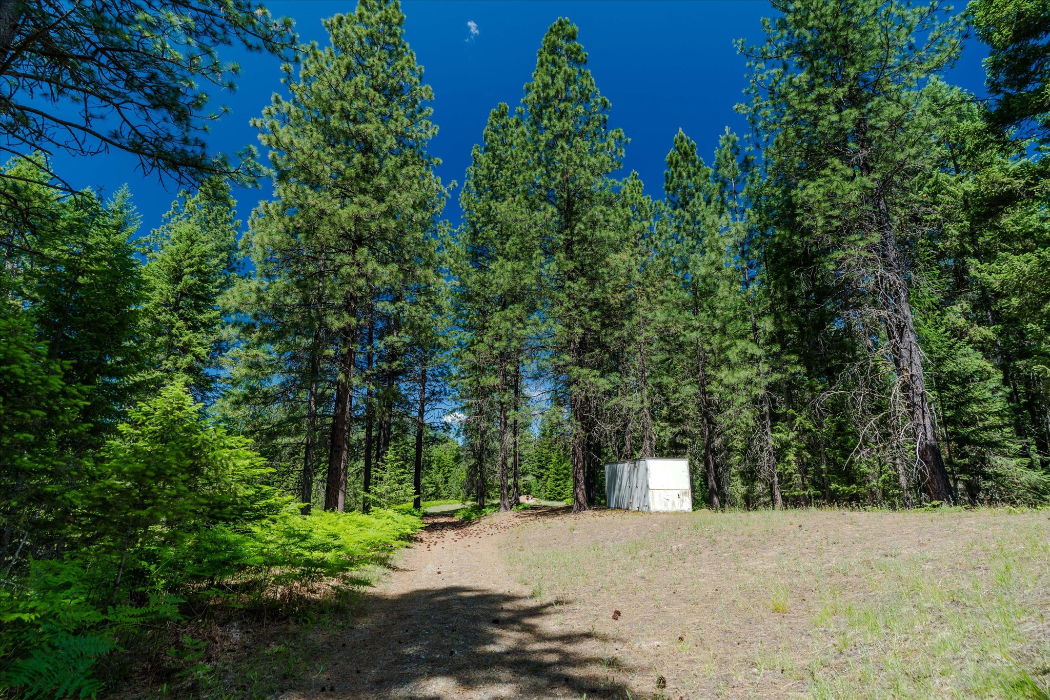 32 Whitepine Creek Road Property Photo 66