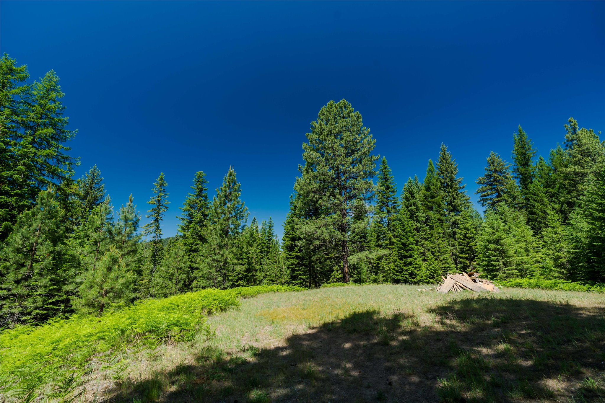 32 Whitepine Creek Road Property Photo 67