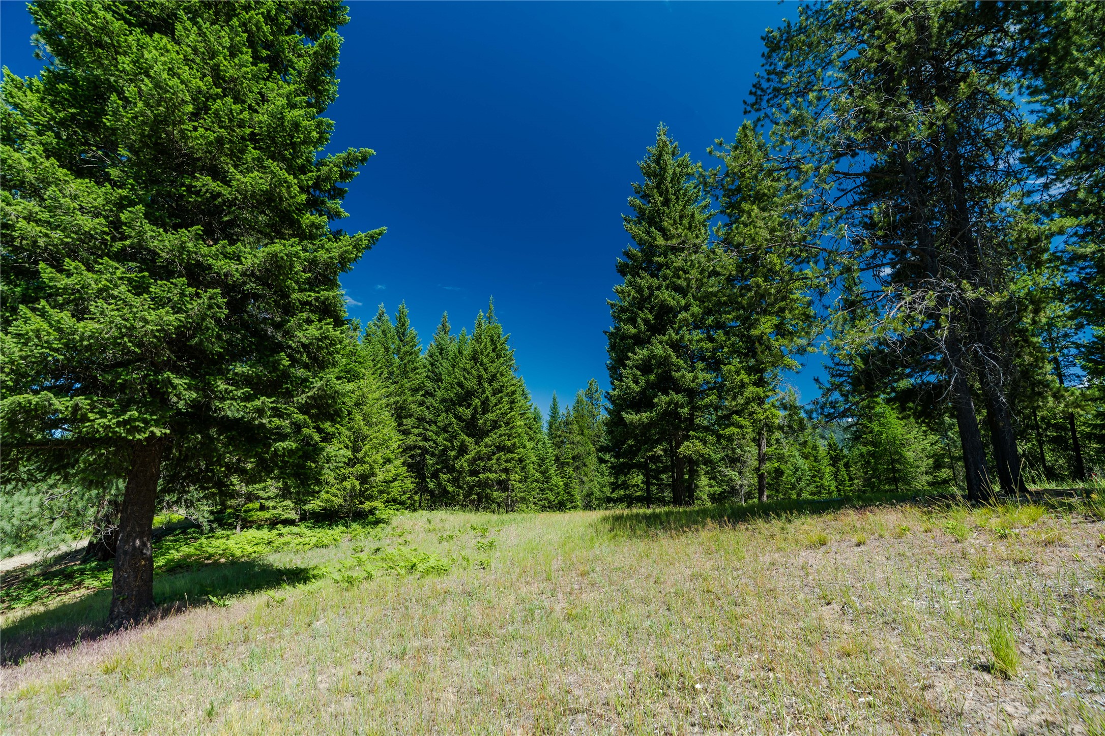 32 Whitepine Creek Road Property Photo 81