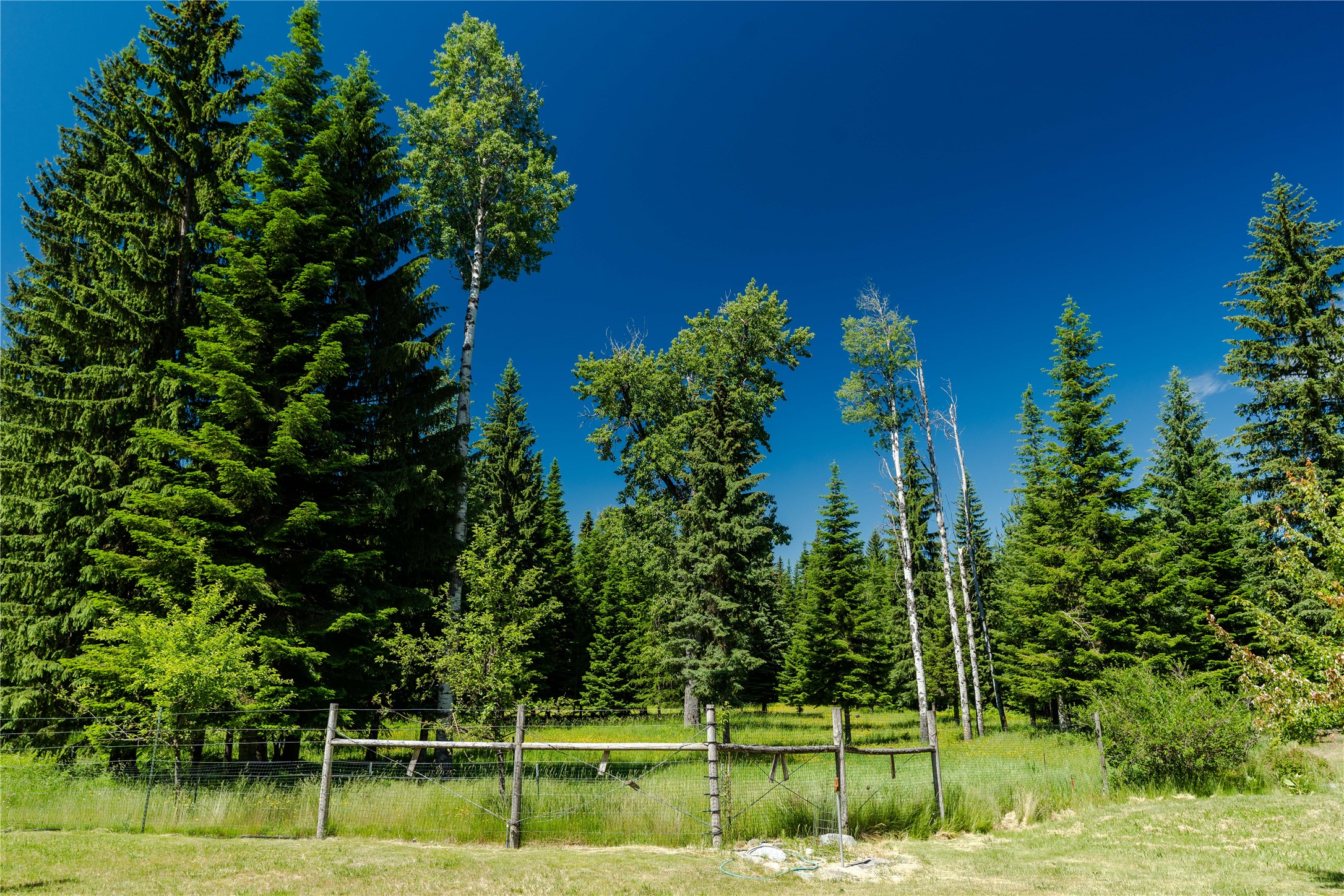 32 Whitepine Creek Road Property Photo 84