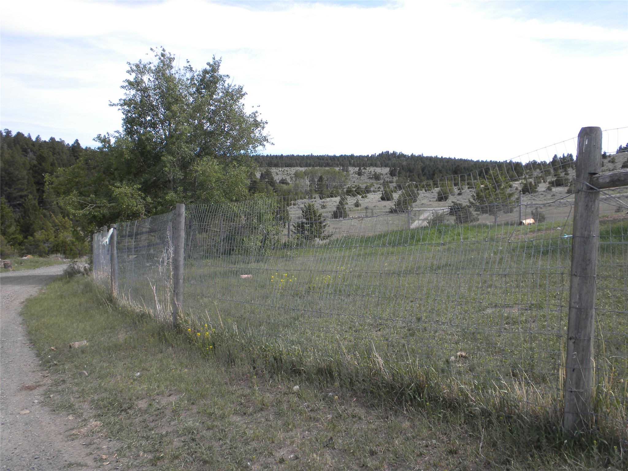 49 Cedar Crest Road Property Photo 9