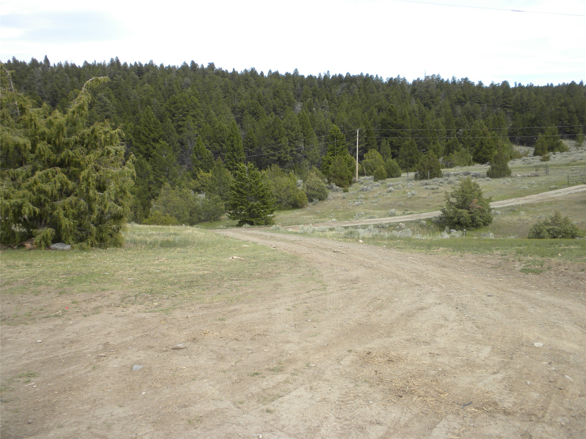 49 Cedar Crest Road Property Photo 11
