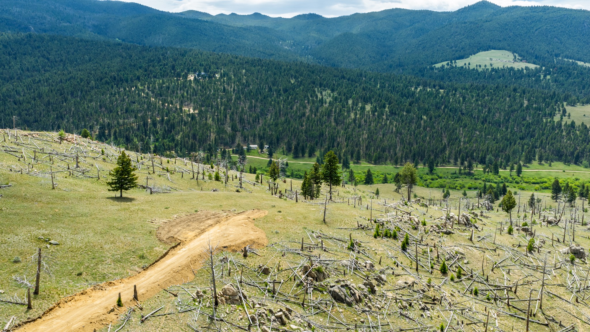 Lot 52 Aspen Valley Ranches Property Photo 3