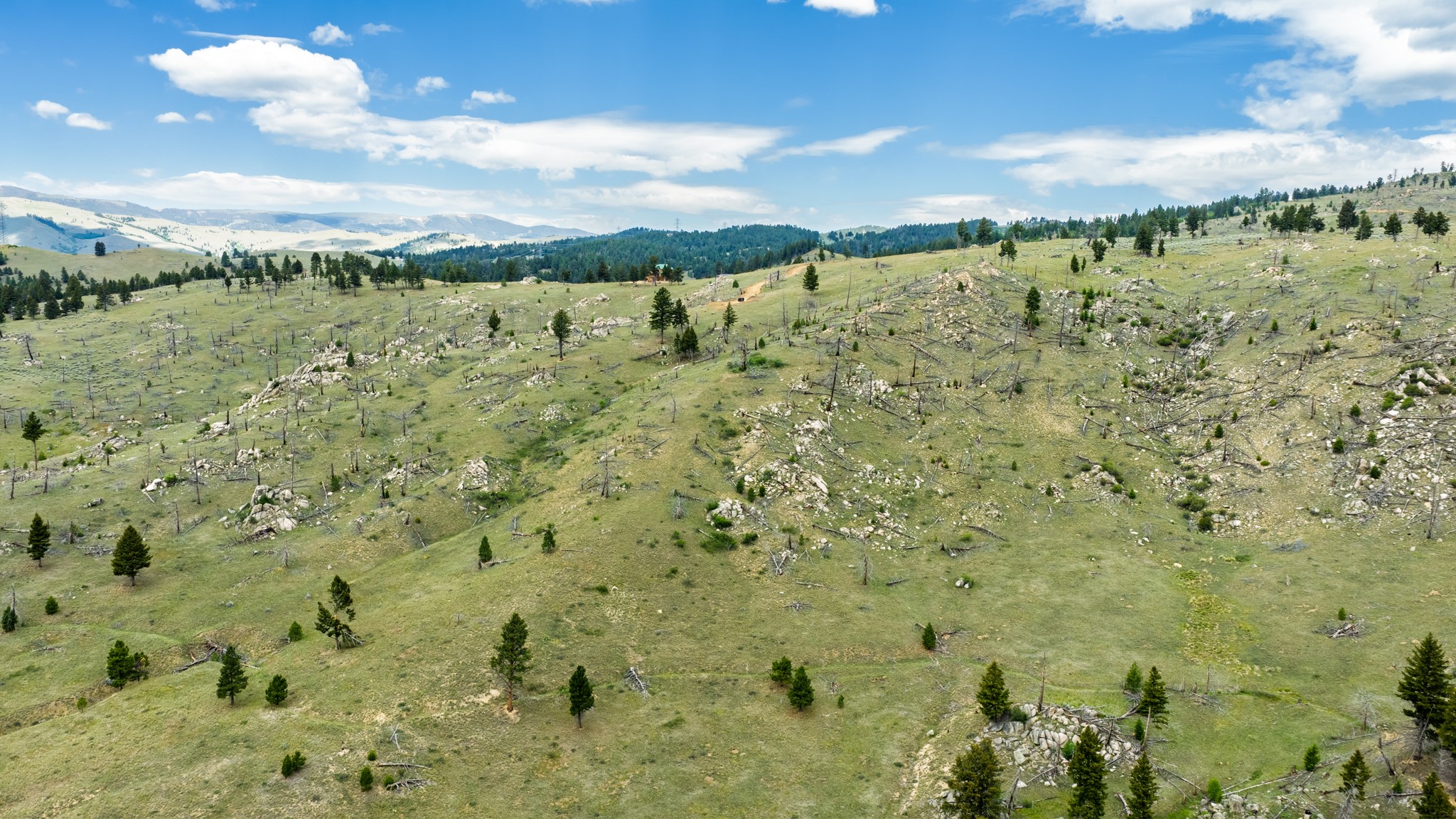 Lot 52 Aspen Valley Ranches Property Photo 15