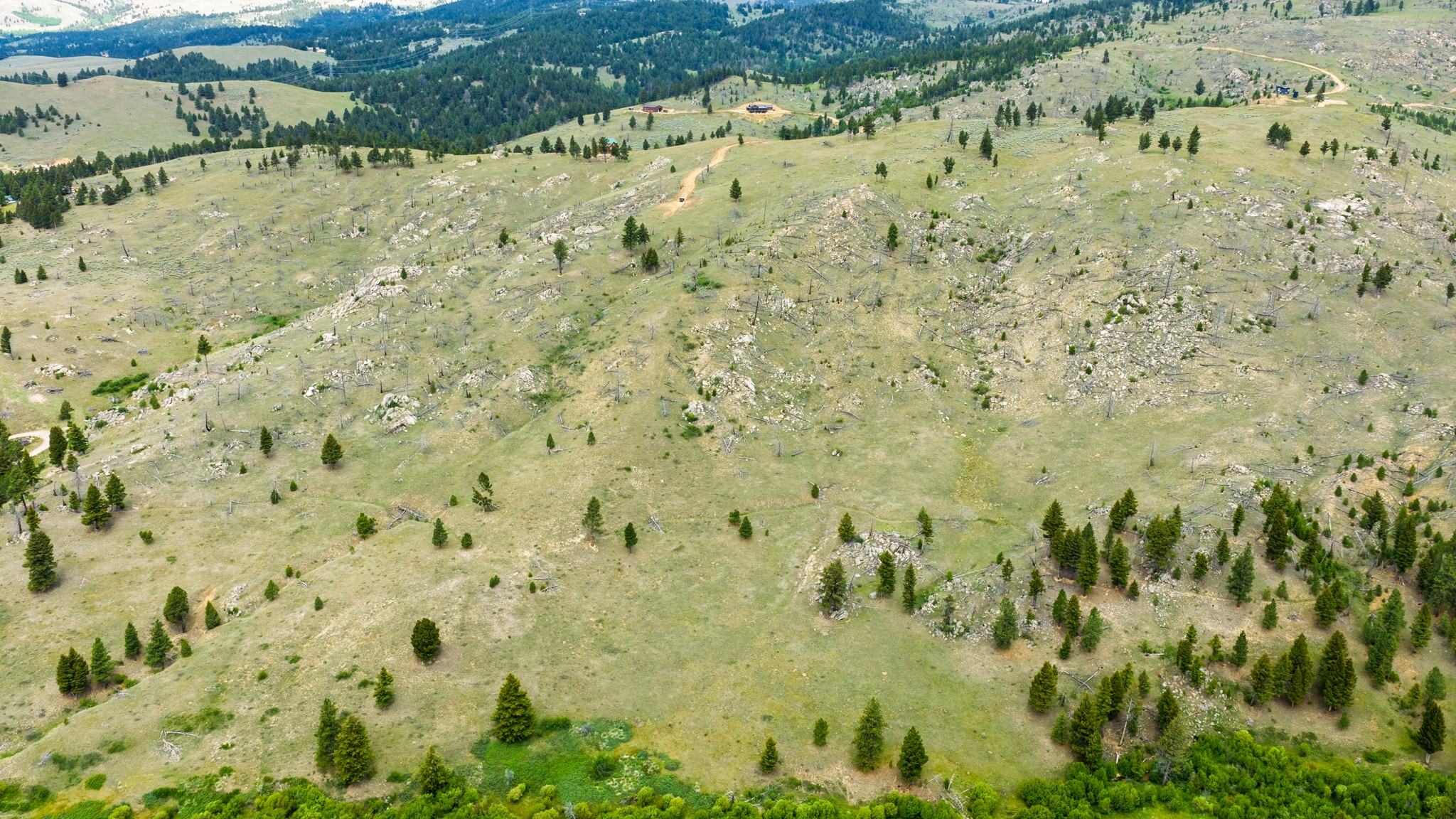 Lot 52 Aspen Valley Ranches Property Photo 16