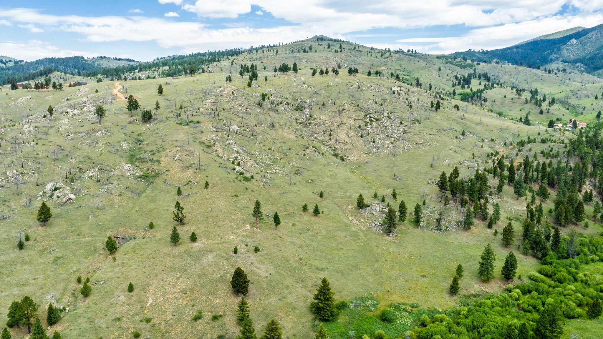 Lot 52 Aspen Valley Ranches Property Photo 17