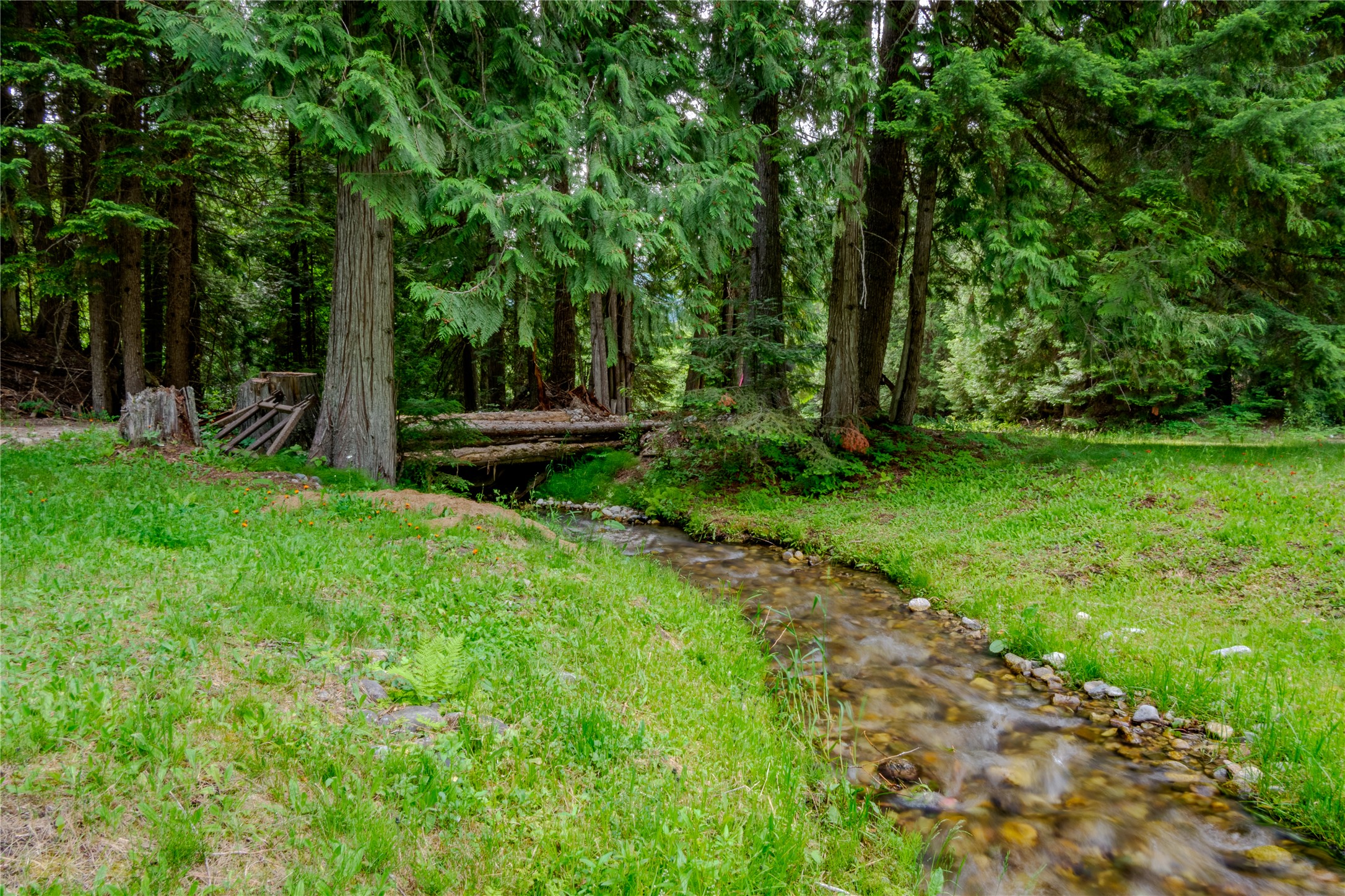 214 Mountain View Drive Property Photo 4