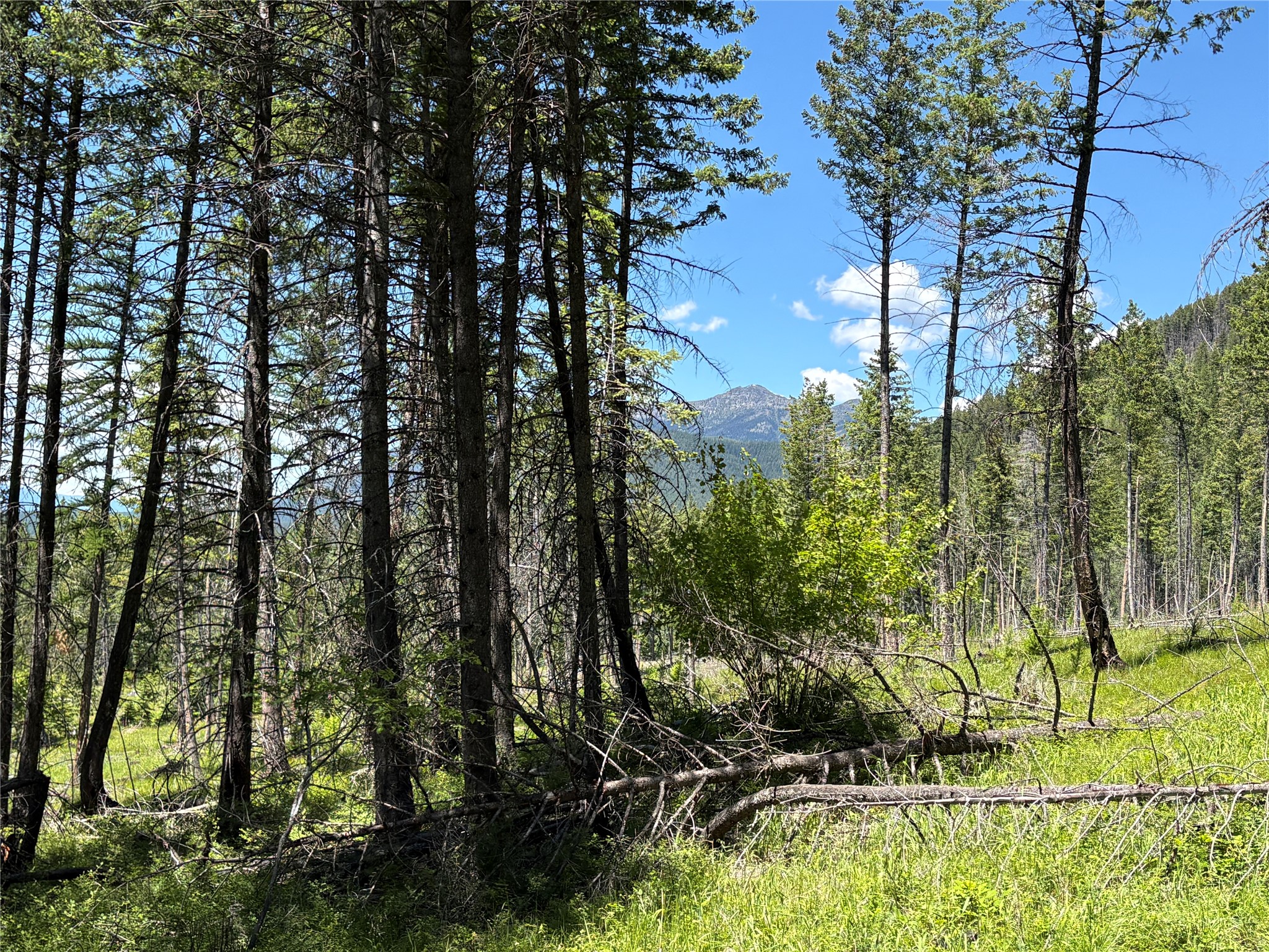 8025 Therriault Pass Road Property Photo 8