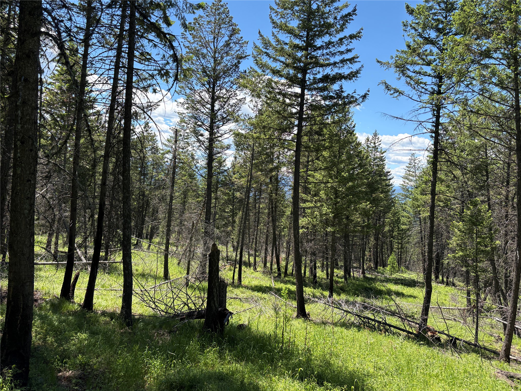 8025 Therriault Pass Road Property Photo 9