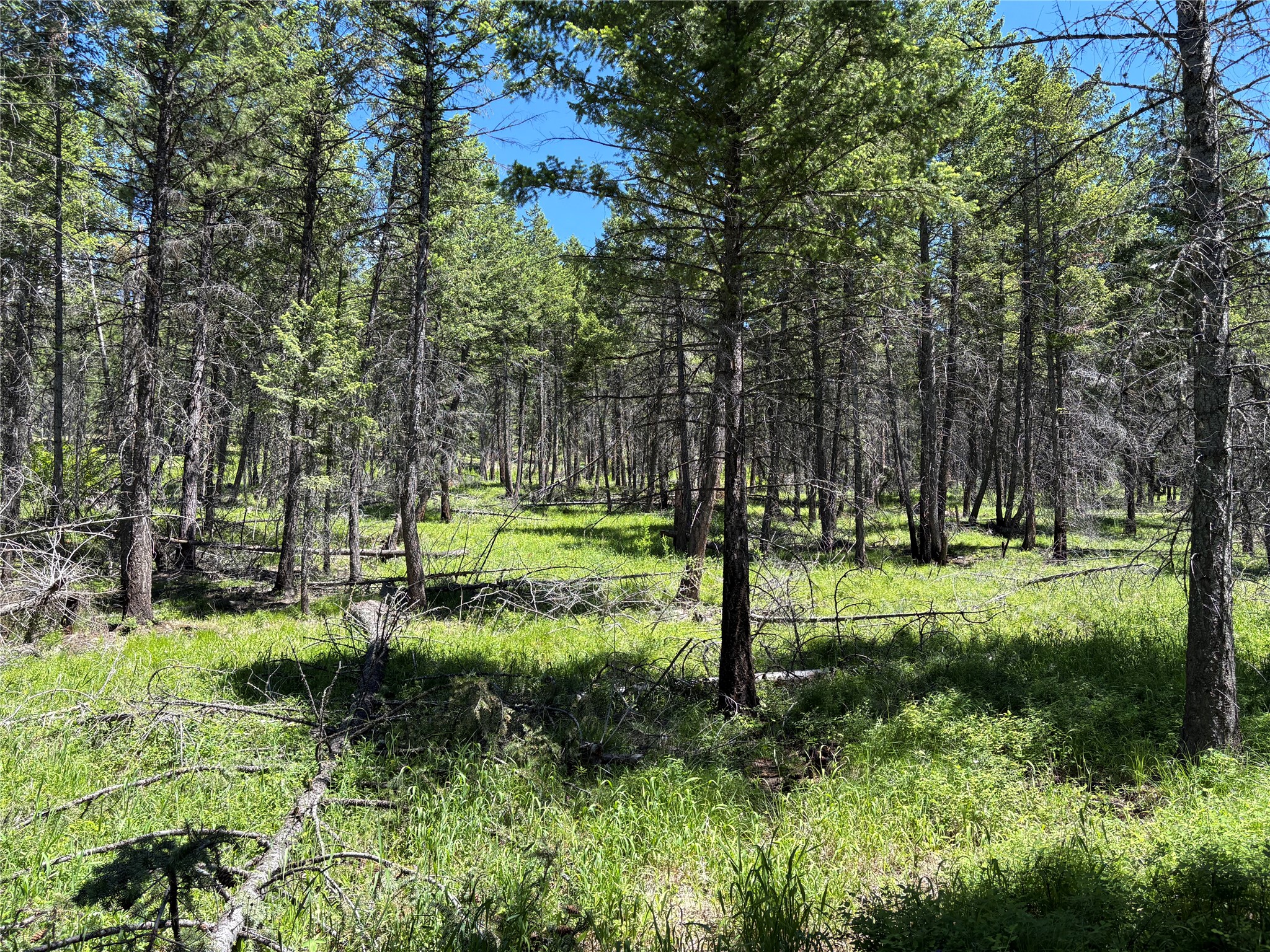 8025 Therriault Pass Road Property Photo 11