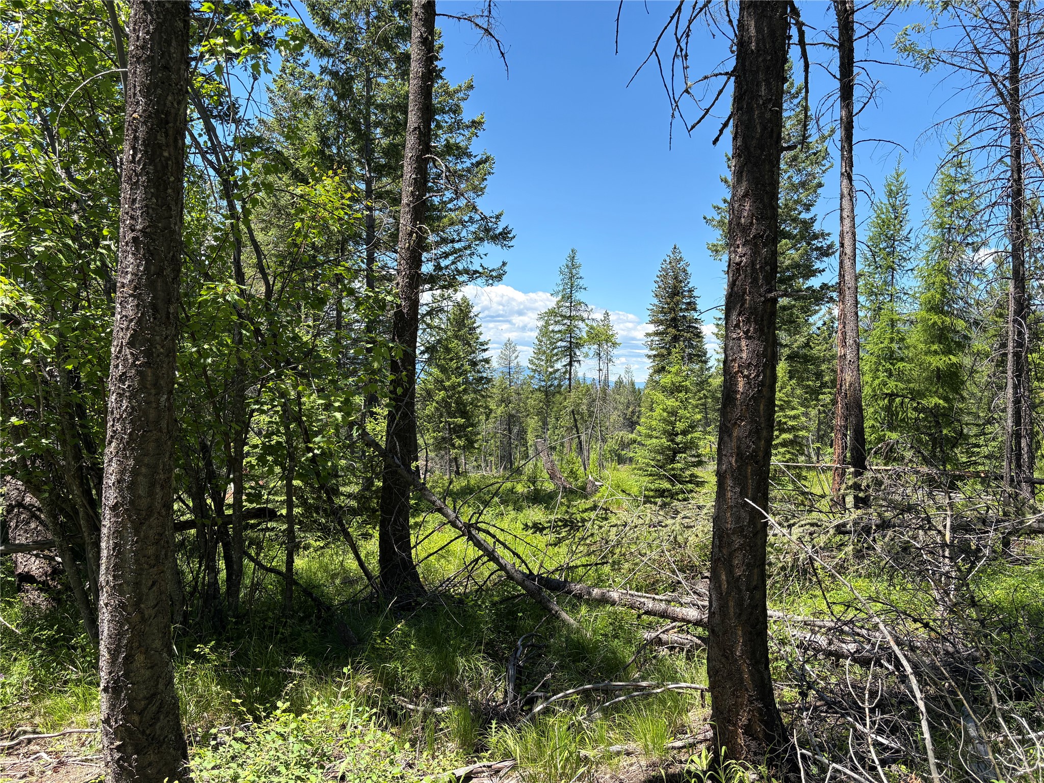 8025 Therriault Pass Road Property Photo 12