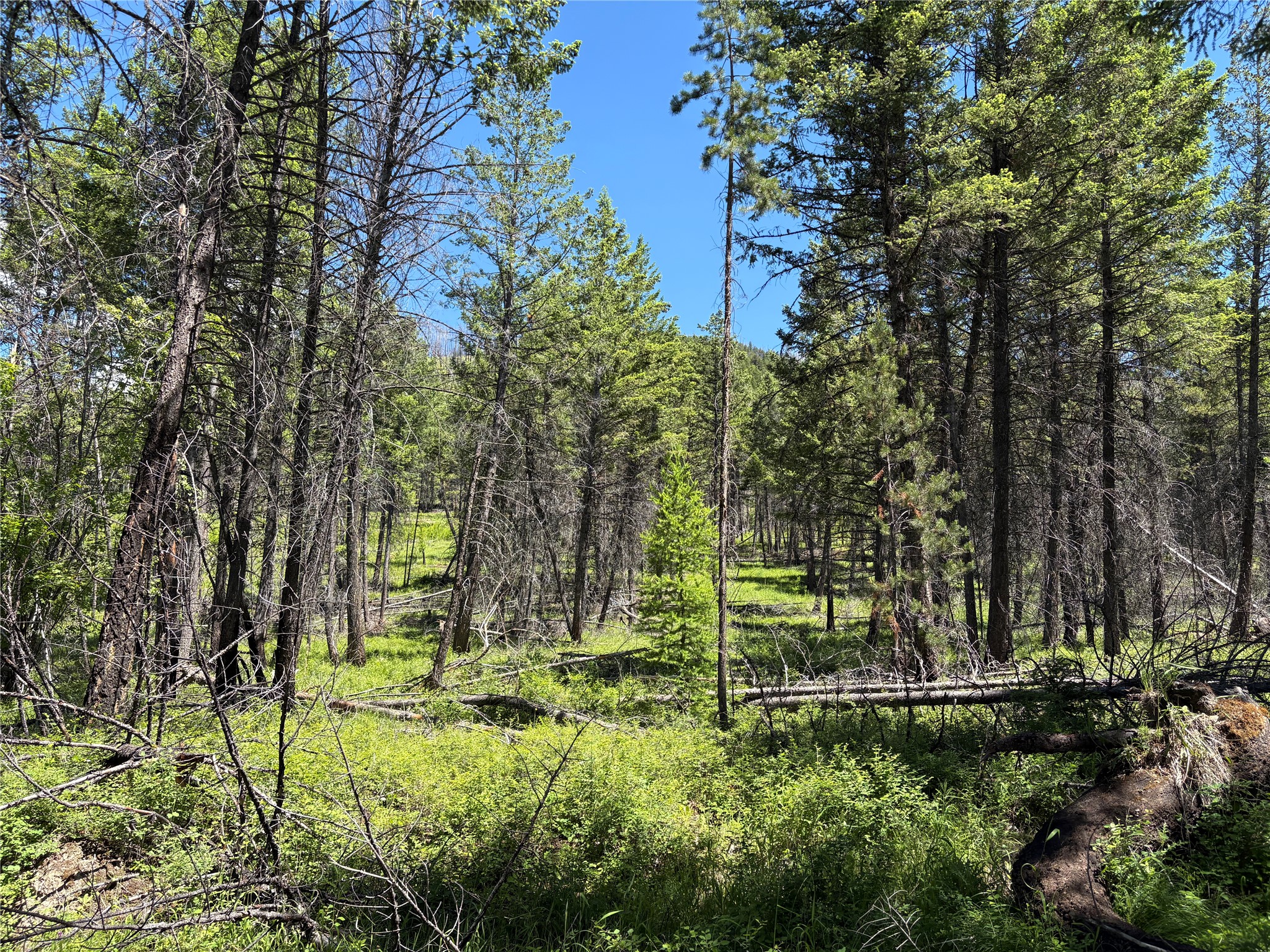 8025 Therriault Pass Road Property Photo 14