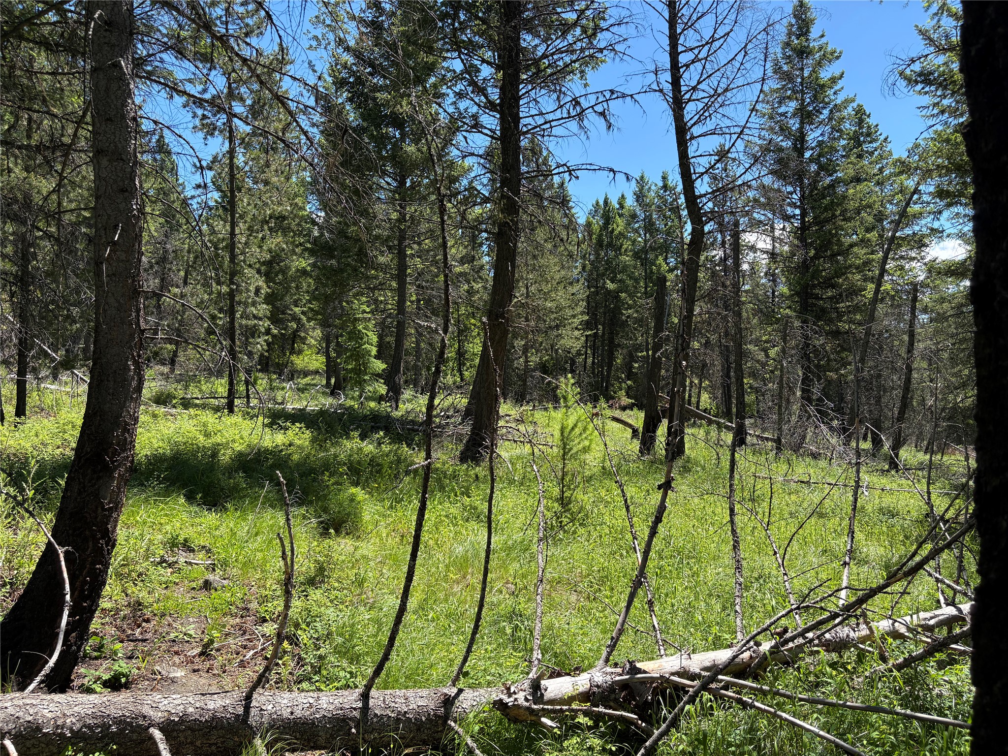 8025 Therriault Pass Road Property Photo 15