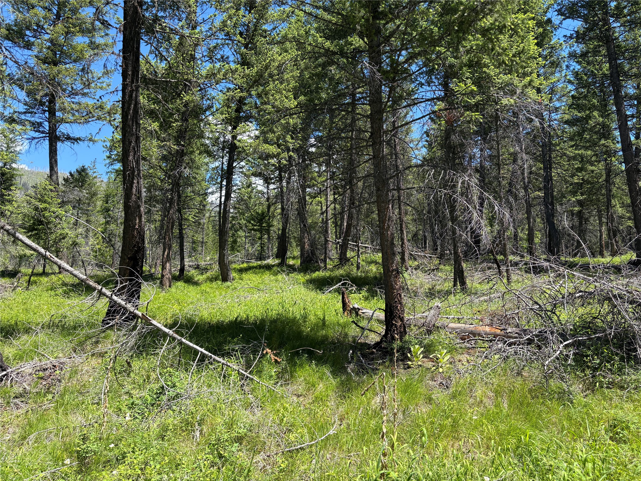 8025 Therriault Pass Road Property Photo 19