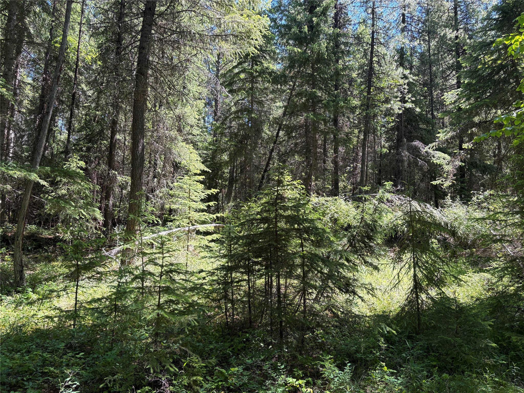 8025 Therriault Pass Road Property Photo 29