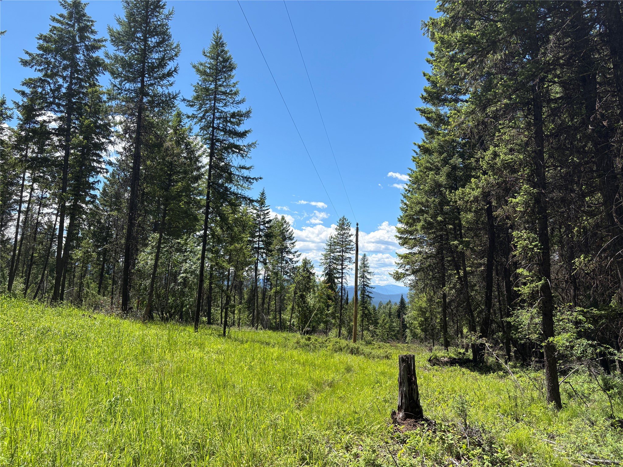 8025 Therriault Pass Road Property Photo 31