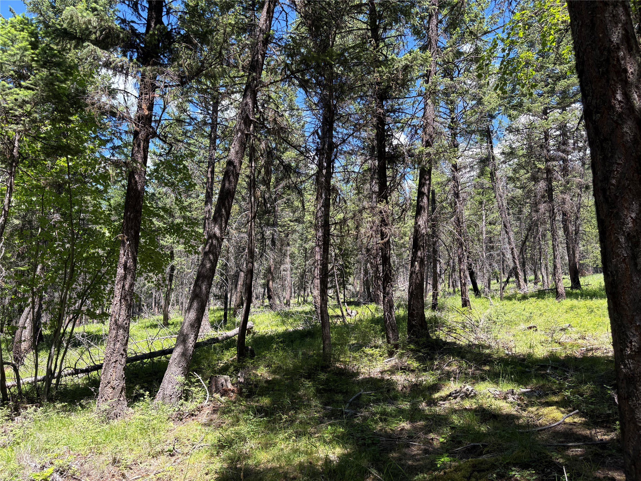 8025 Therriault Pass Road Property Photo 33