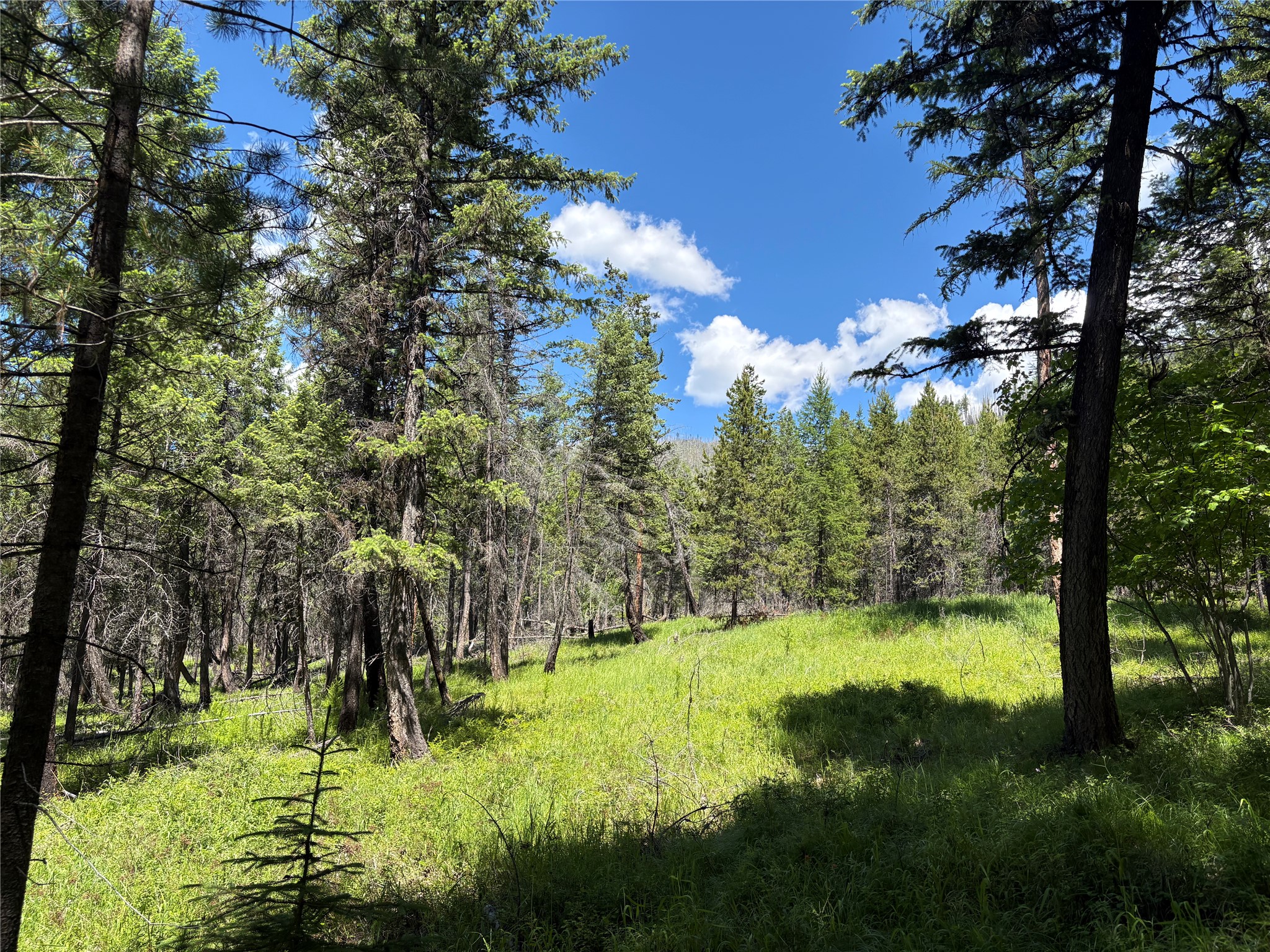 8025 Therriault Pass Road Property Photo 35